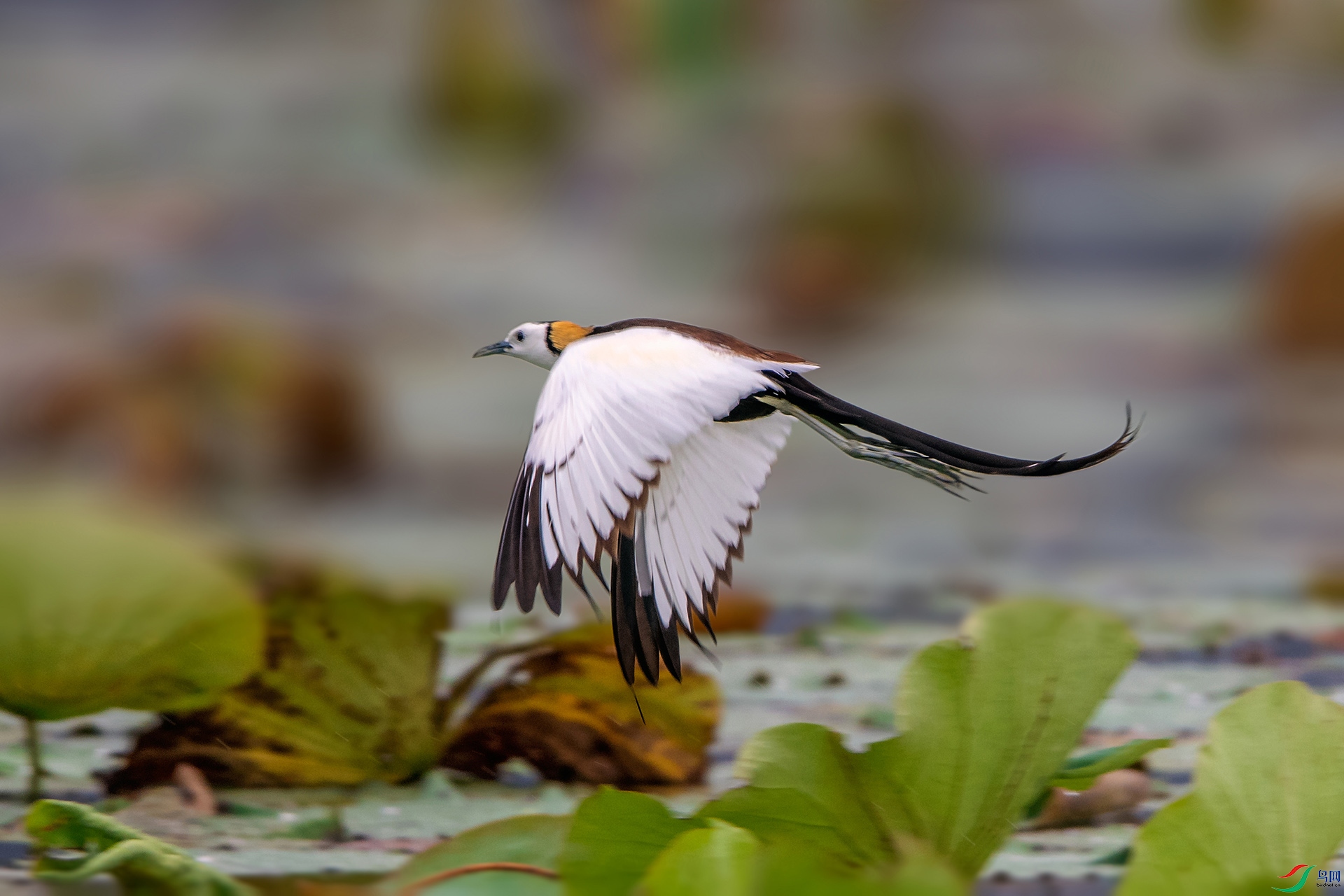 ��_AUU0096��ˮ��(23.6.8)-1.jpg