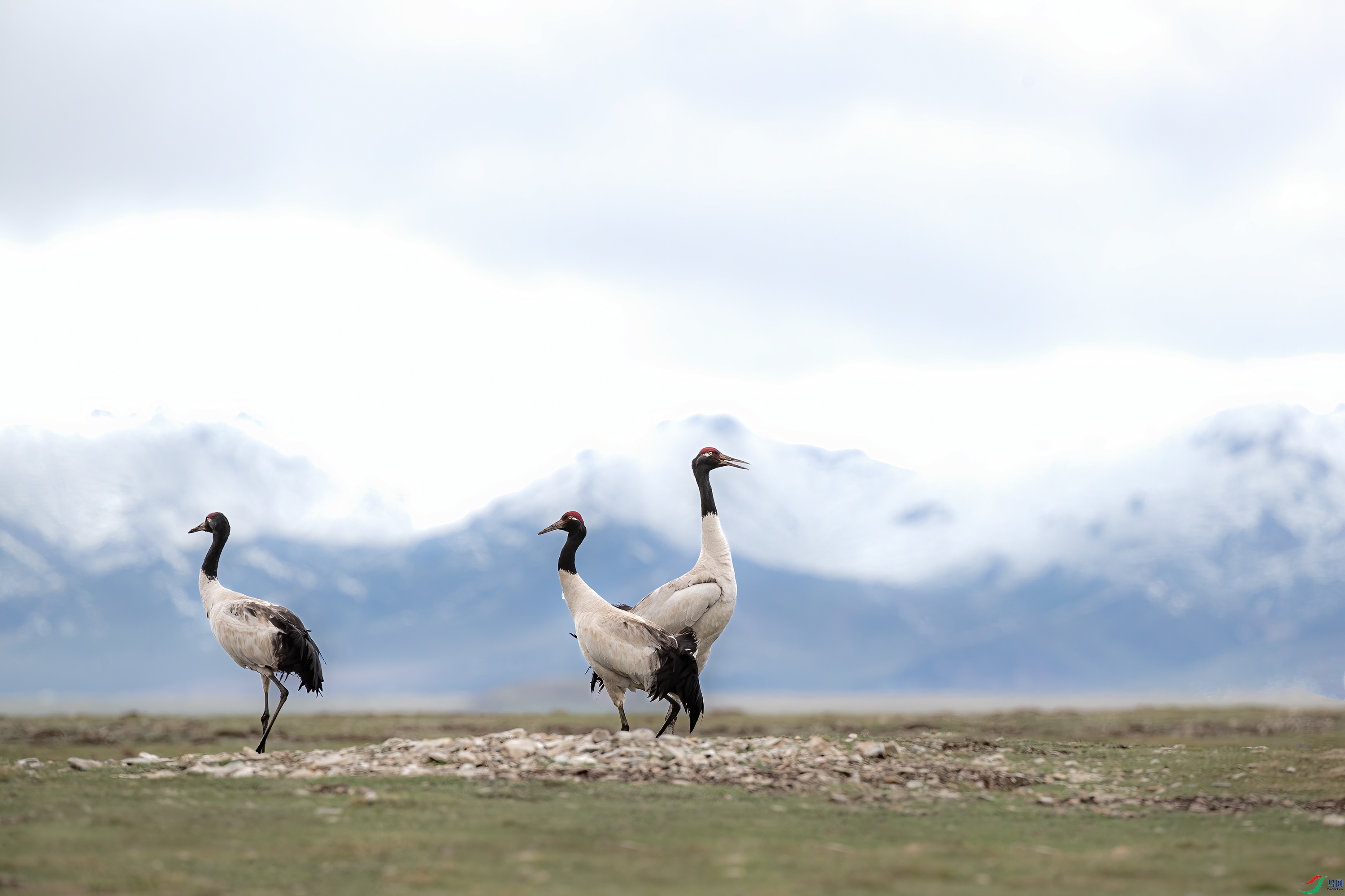 AY8I9573 ����.jpg