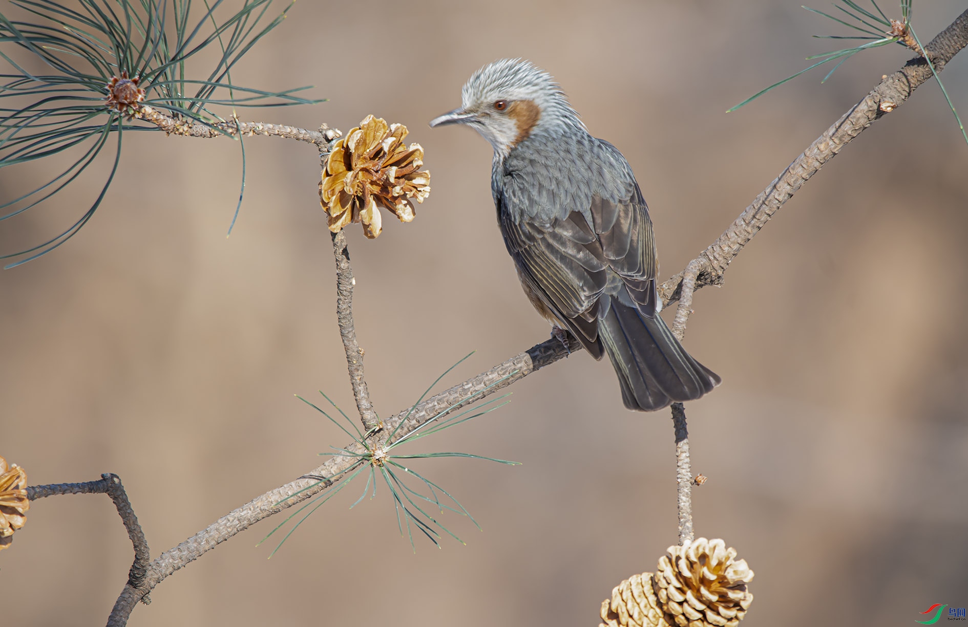 DSC_0667_��ͼ�� ����.jpg