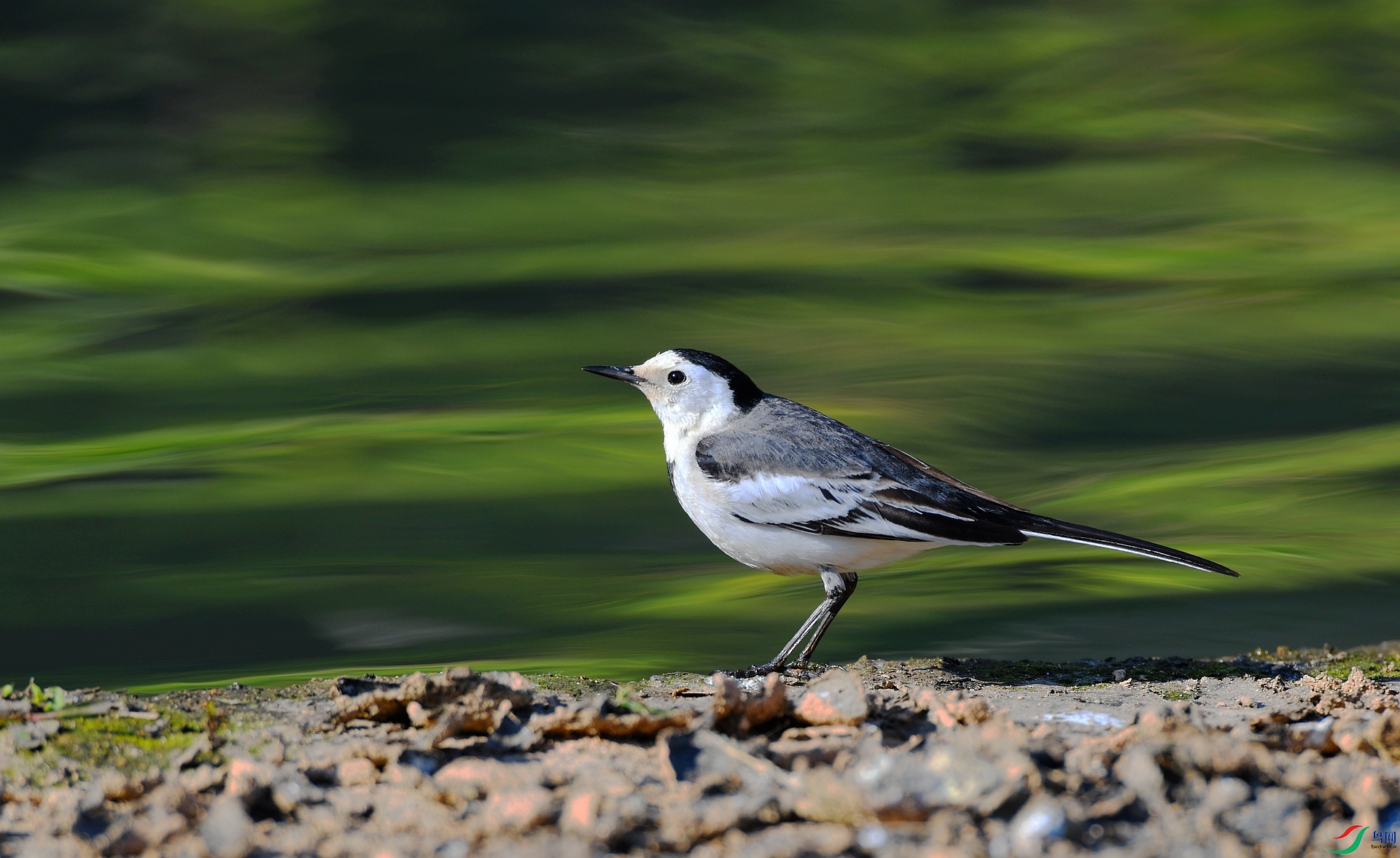 DSC_4319.jpg