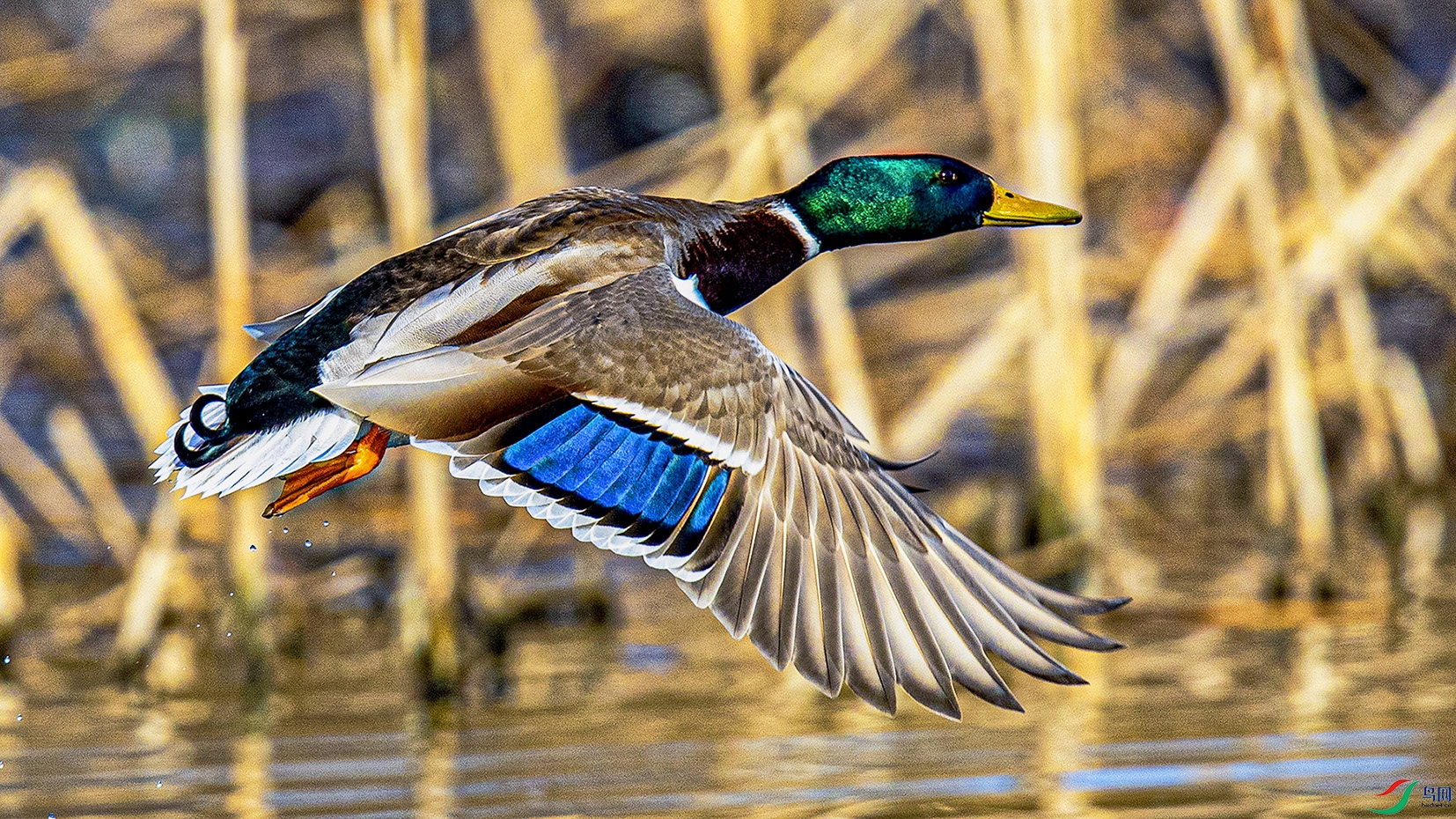 _90I0752 ���� 3.jpg