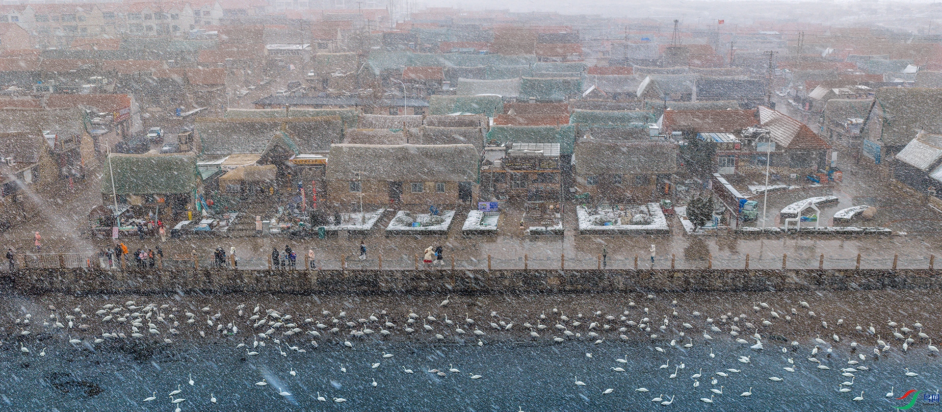 DJI_20260110112405_0069_D-DxO_DeepPRIME 3-1.jpg