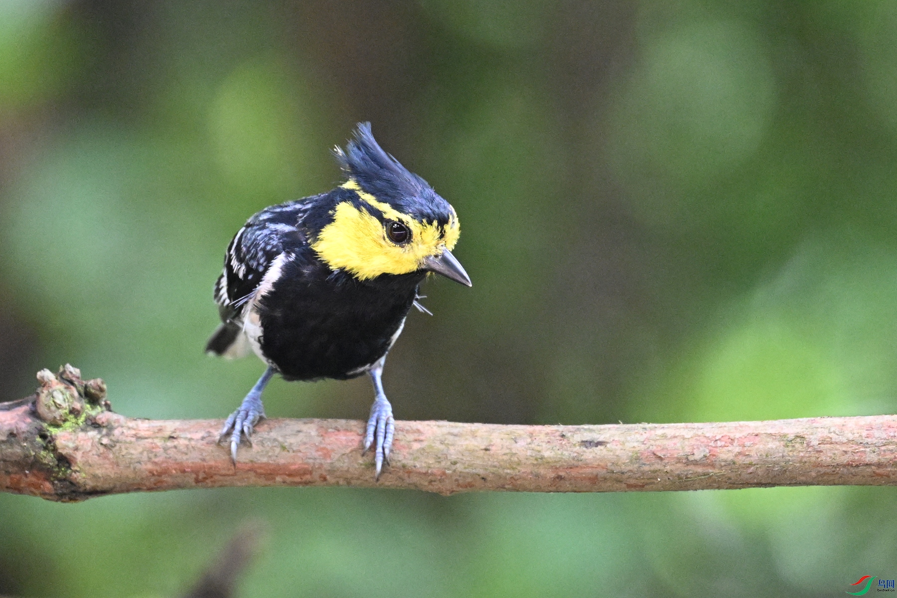 DSC_0035.JPG