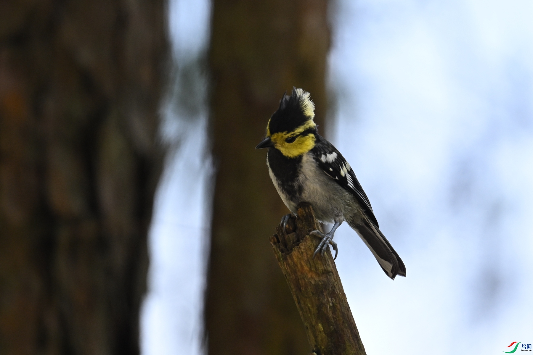 DSC_0070.JPG