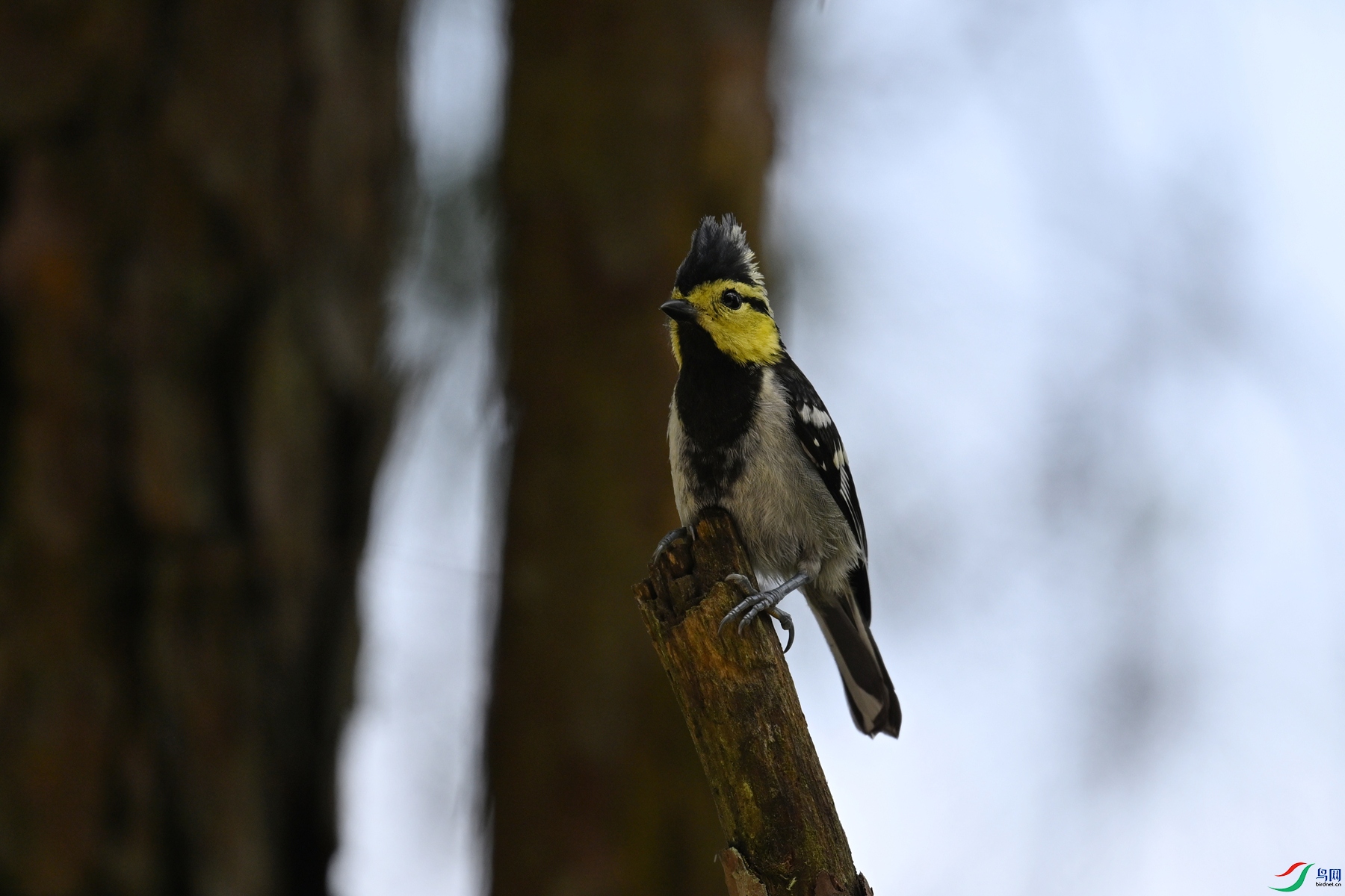 DSC_0074.JPG