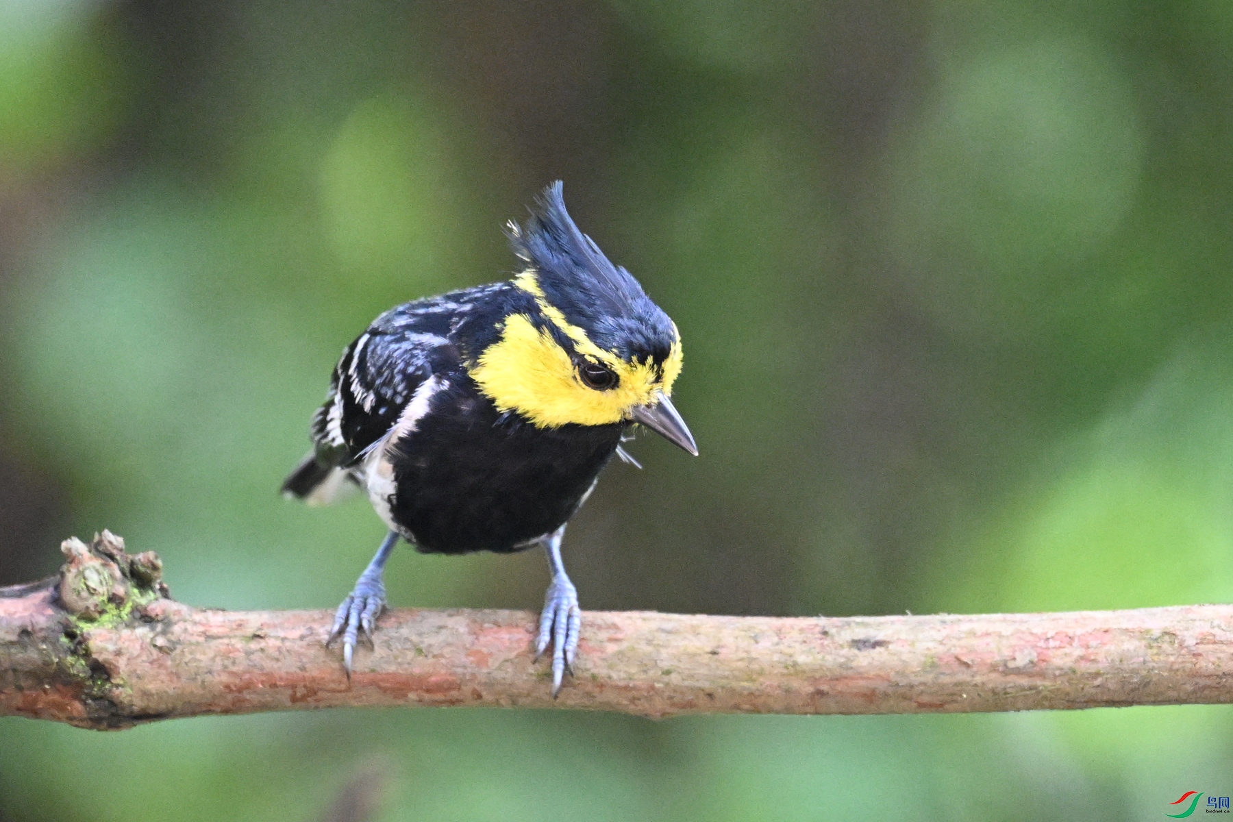 DSC_0039.JPG