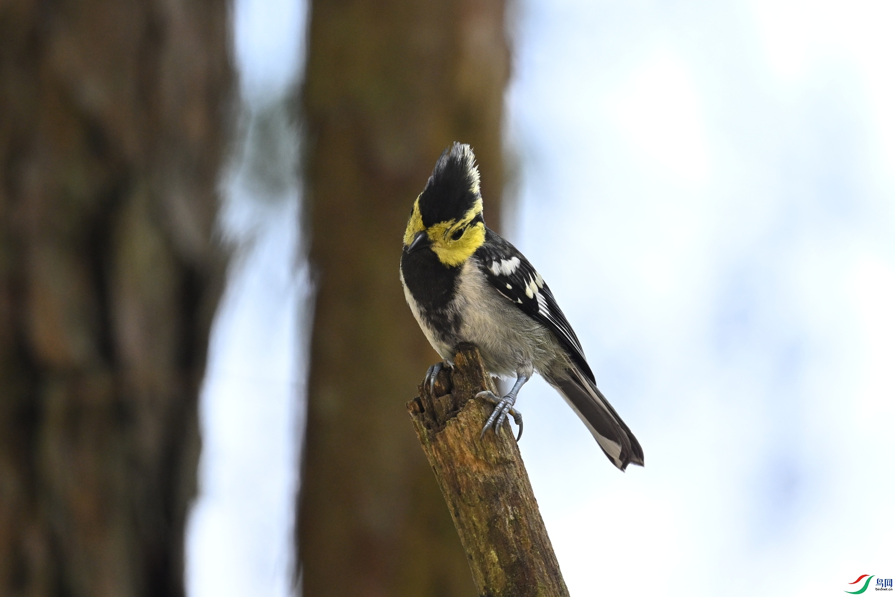 DSC_0069.JPG
