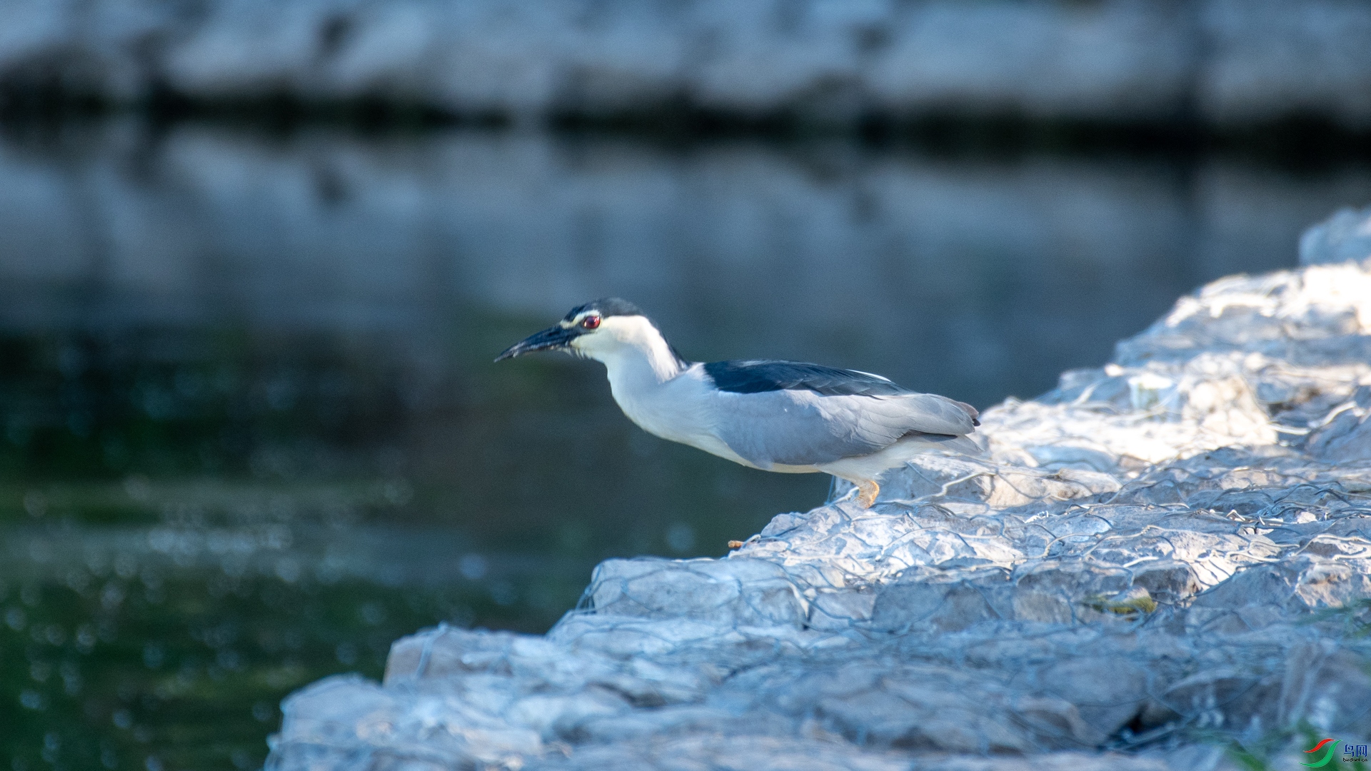 _DSC5893.jpg