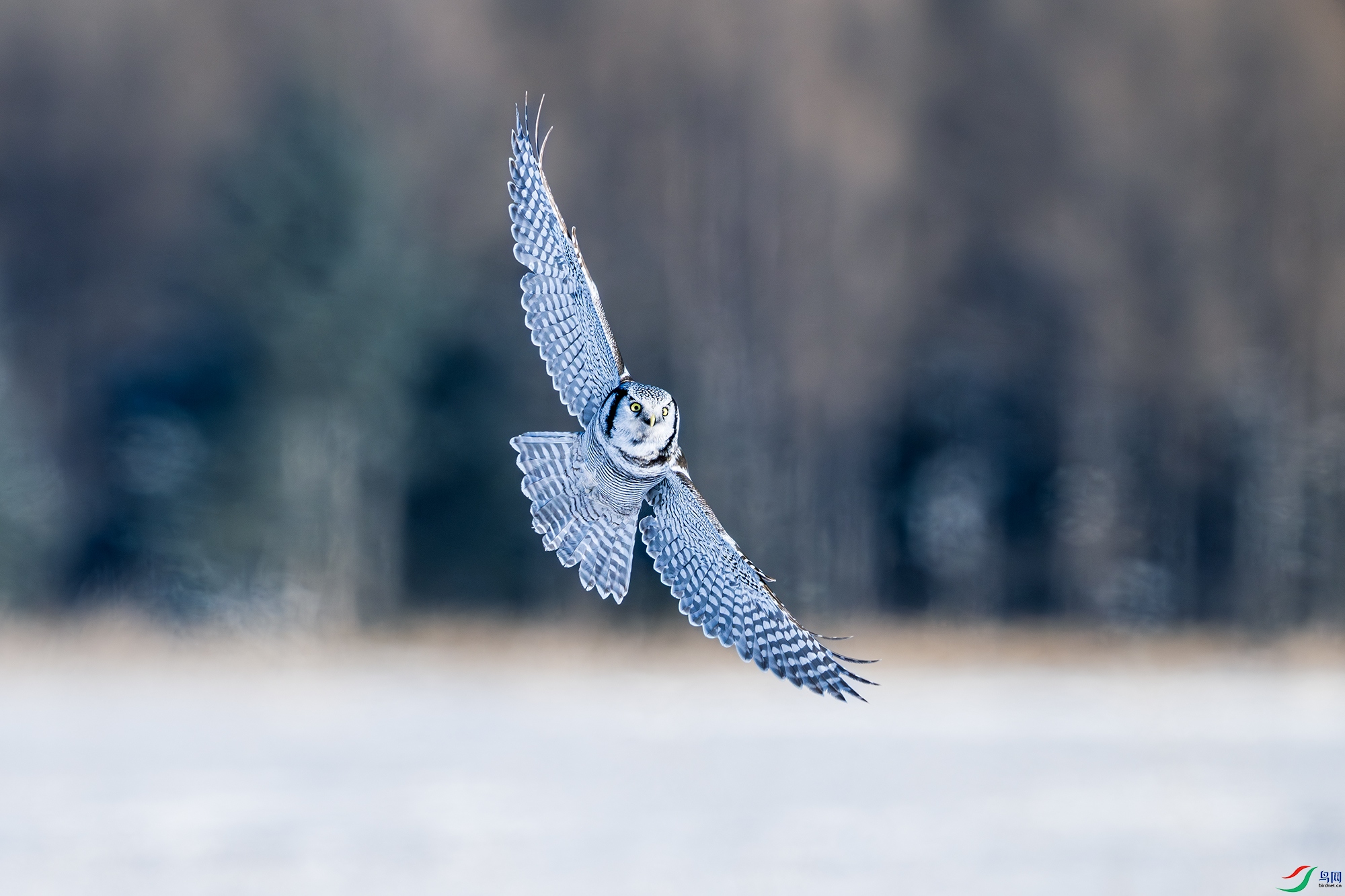 _DSC2073 ����С.jpg