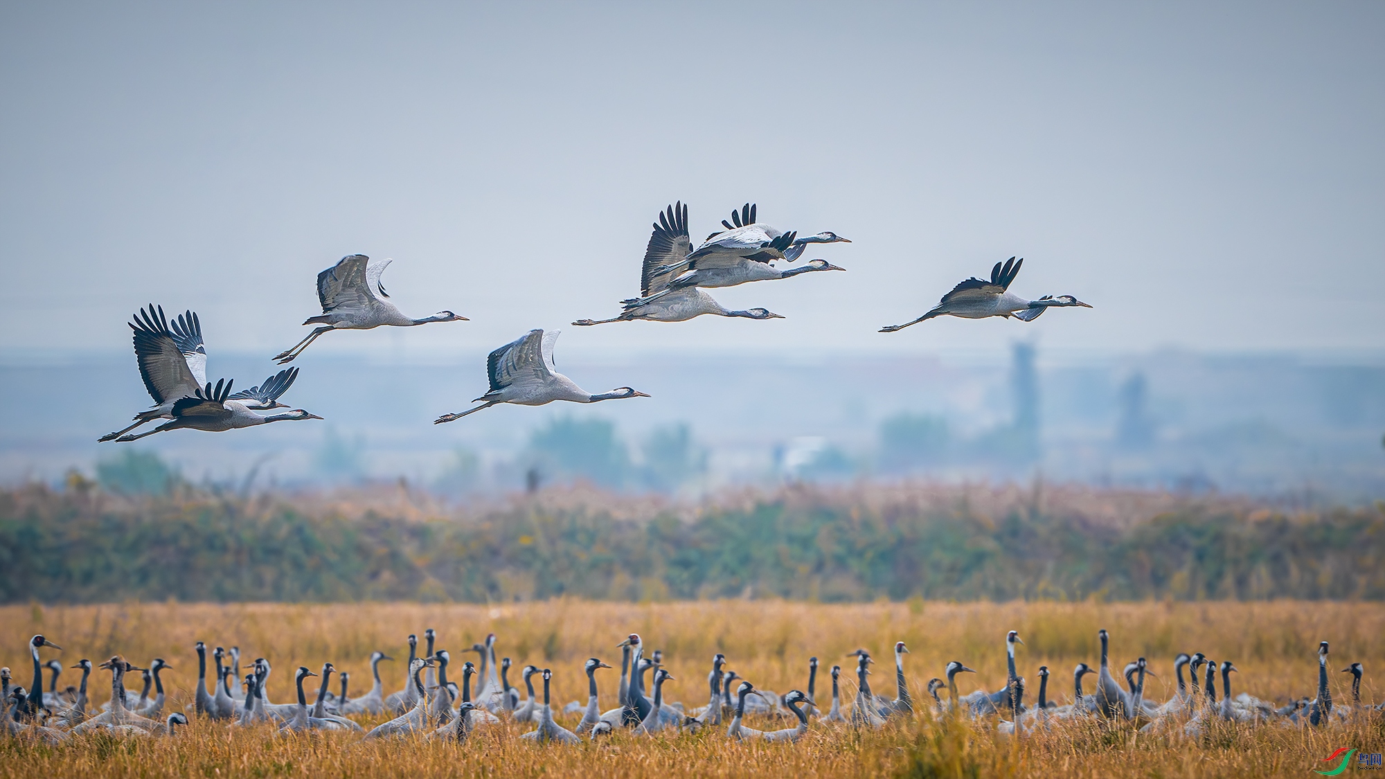 _DSC3609 ����С.jpg