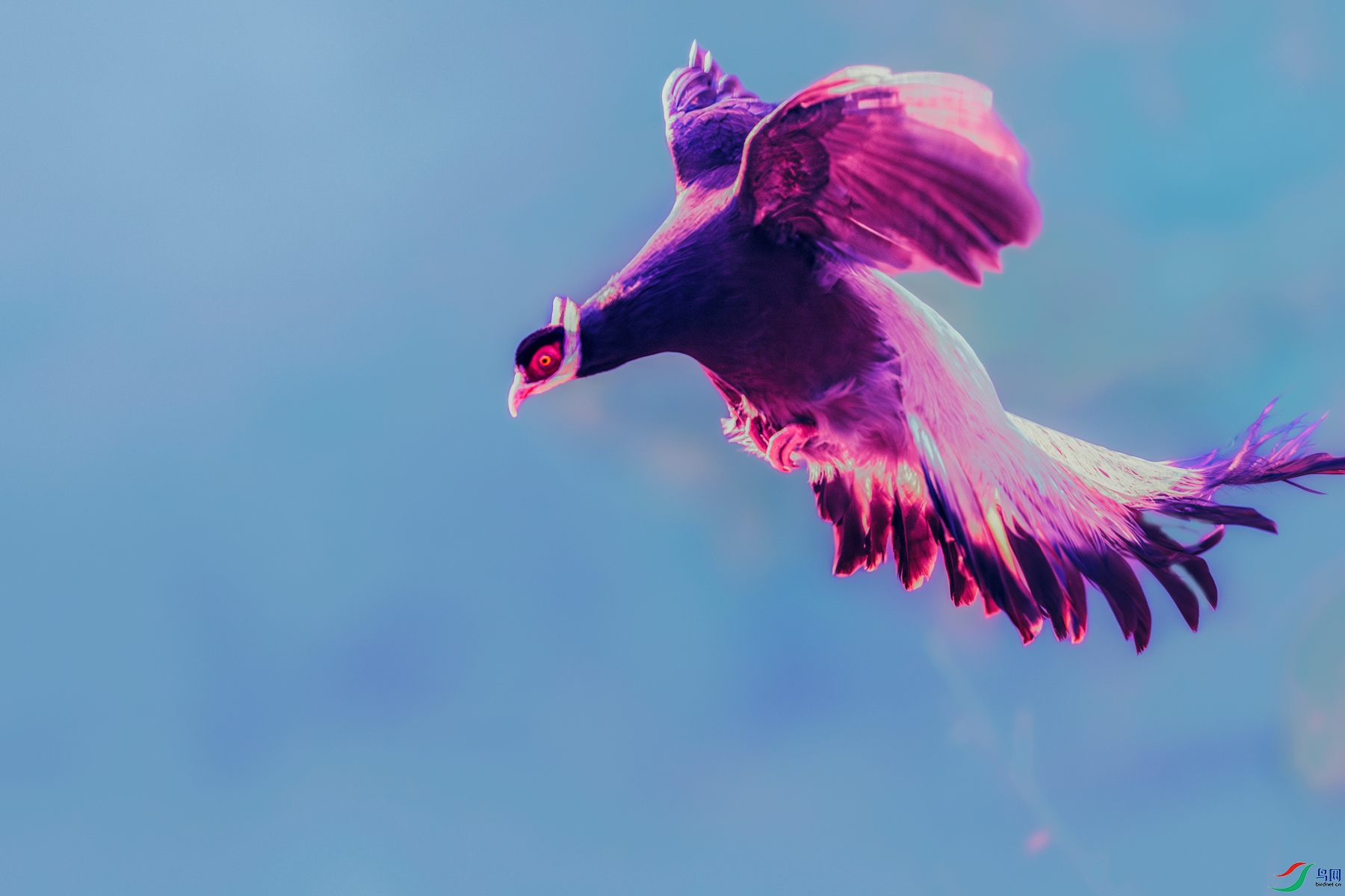 ������----�콵����