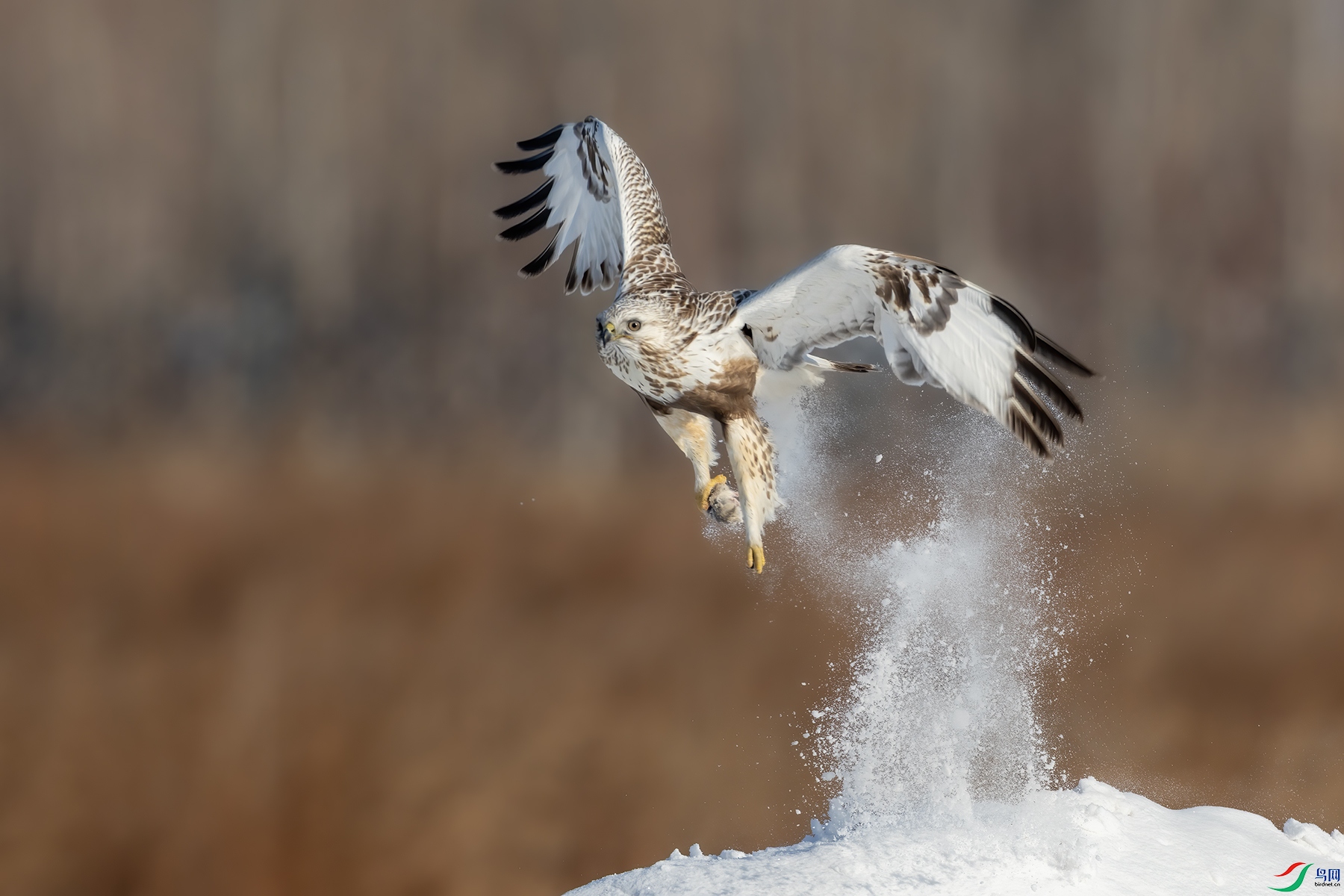 IMG_0221 ����.jpg