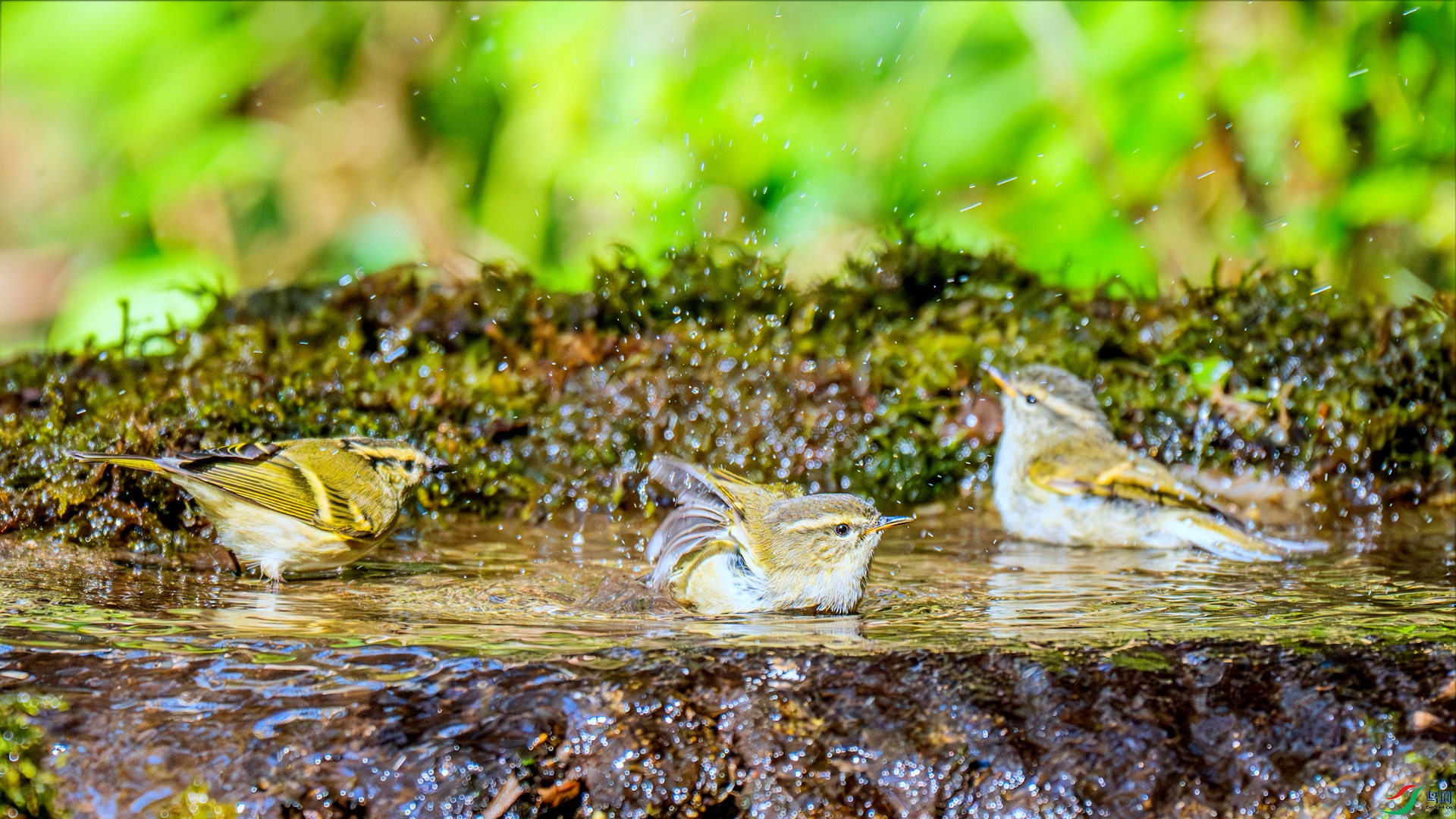 DSC_7470 ����_����.jpg