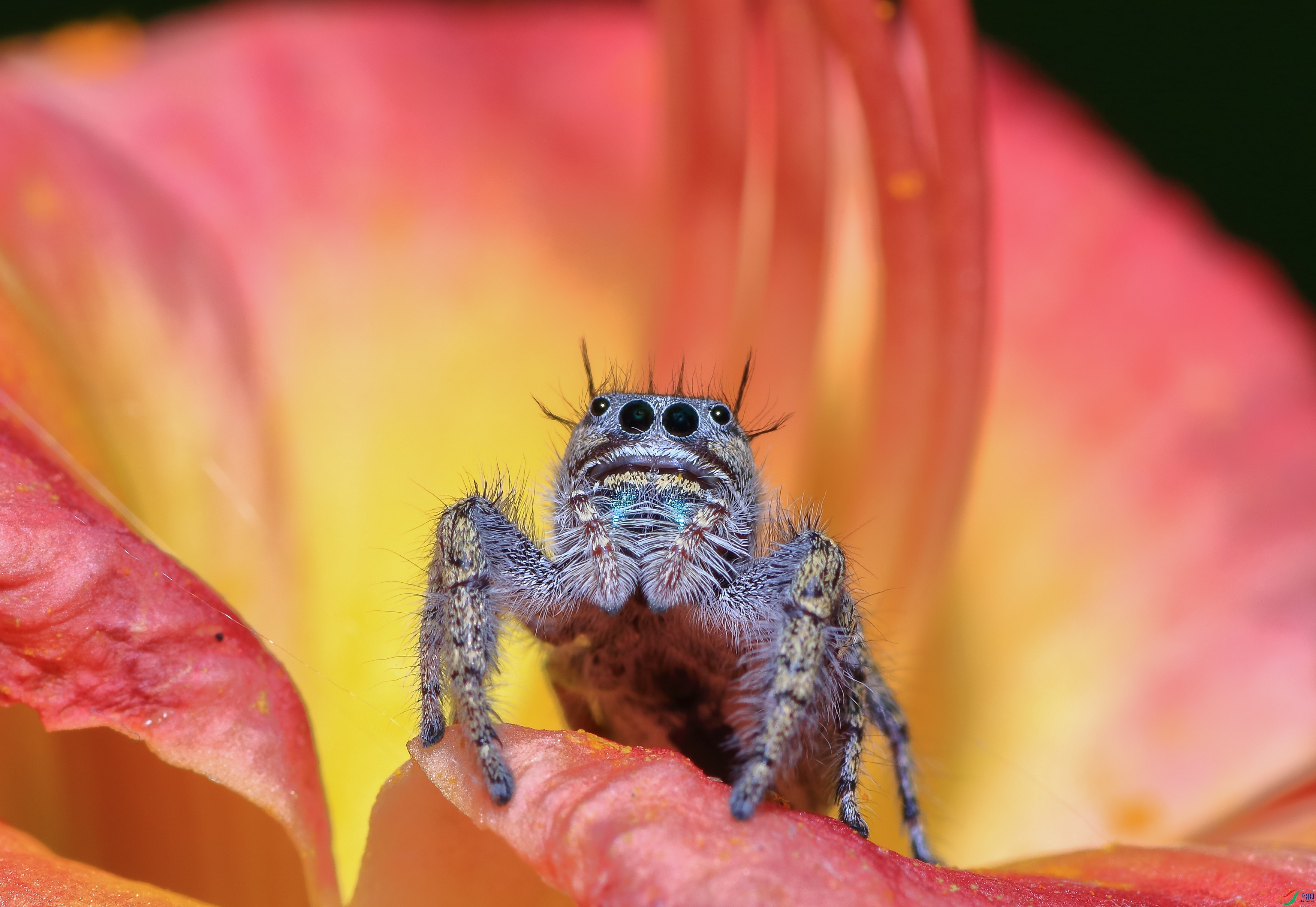 7T8A0220 ����.jpg