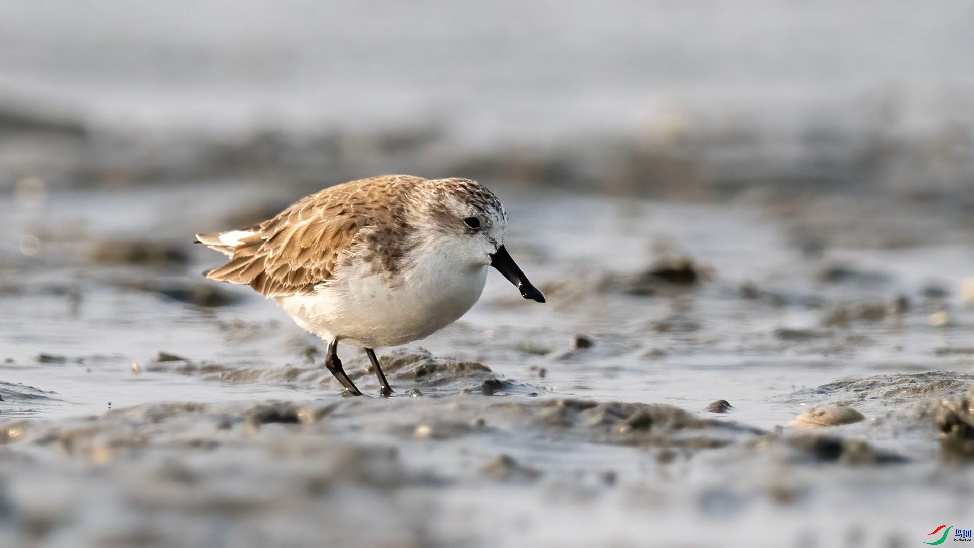 _DSC9994 ����.jpg