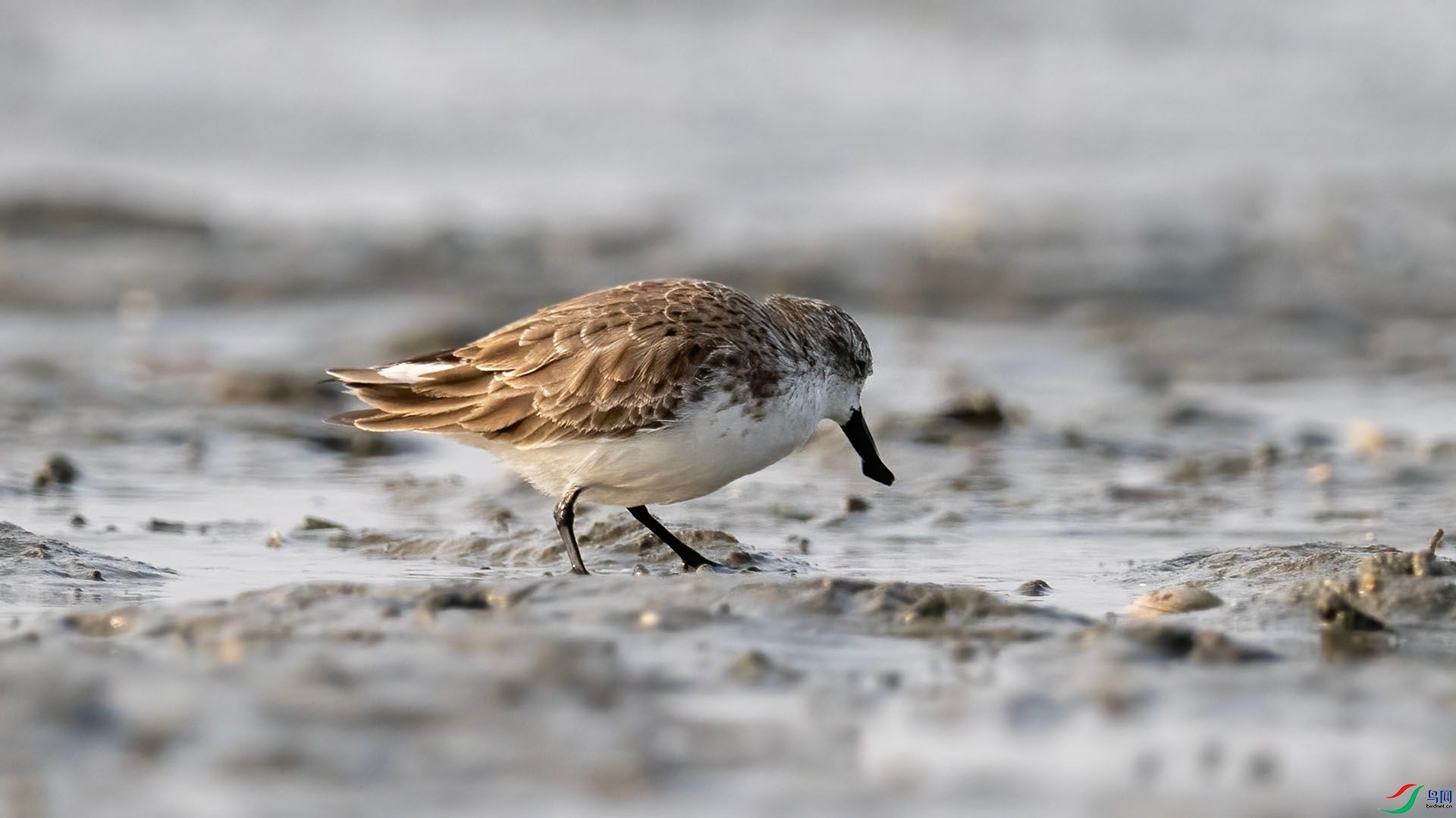 _DSC9999 ����.jpg