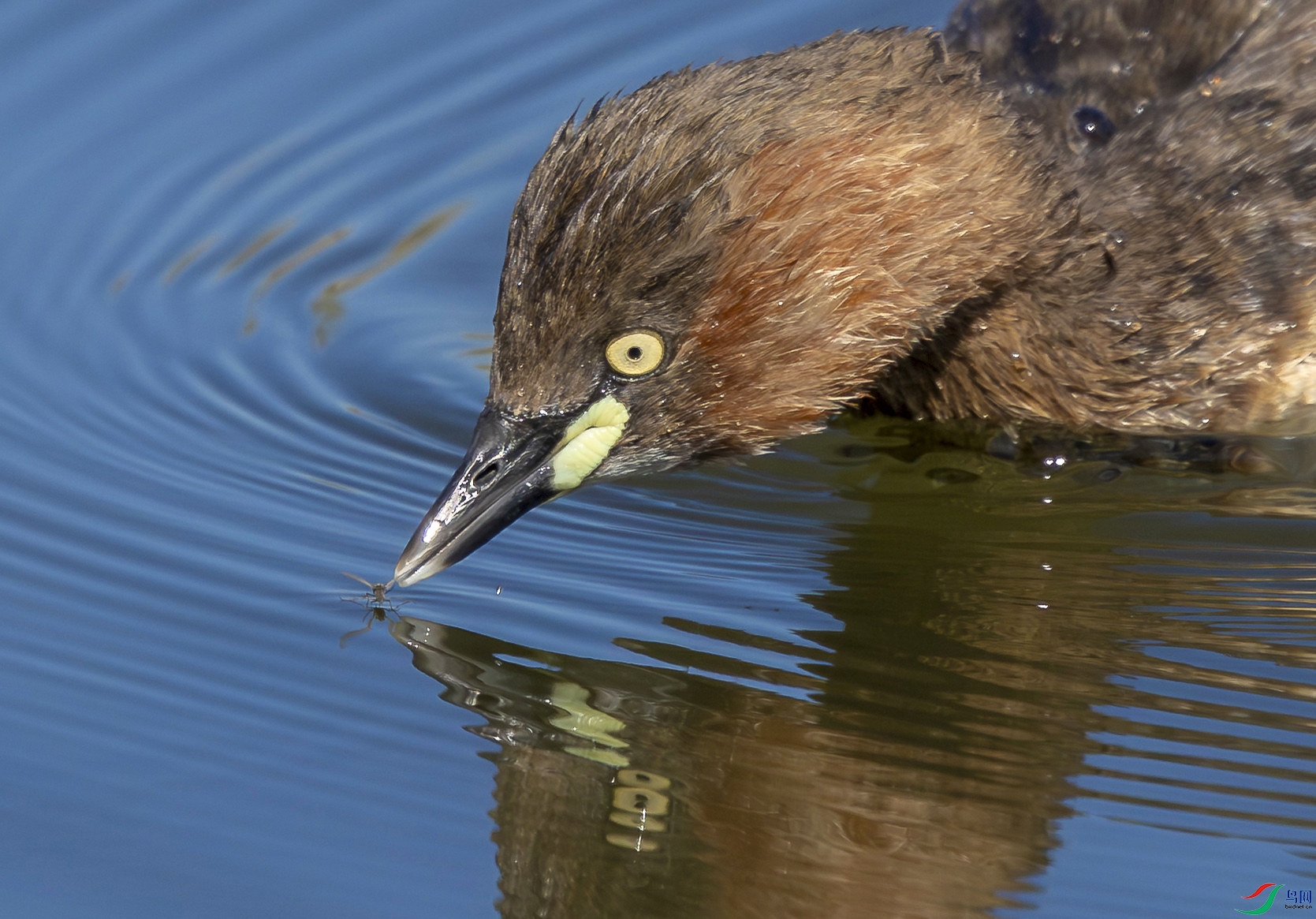 5N2A1712-1 ���� 2.jpg