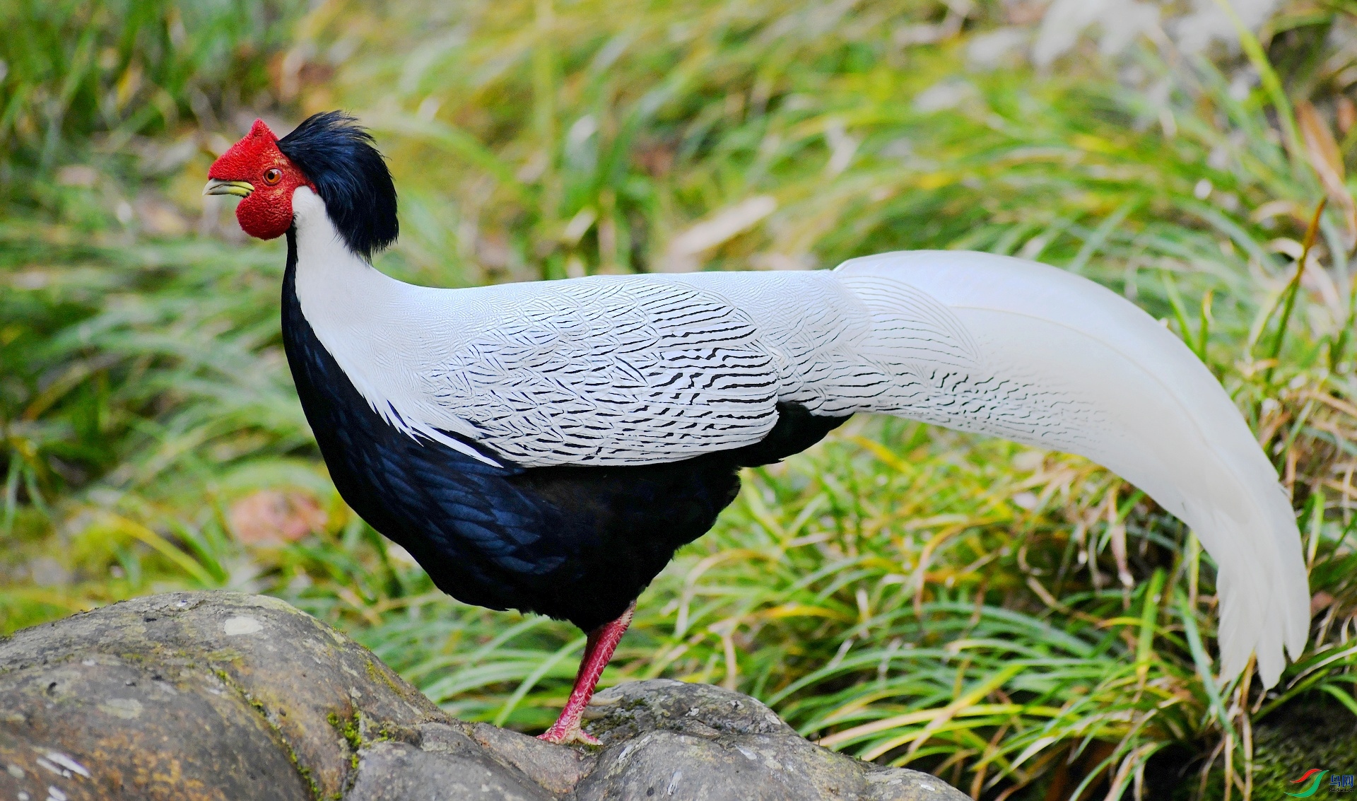 DSC_3004.jpg