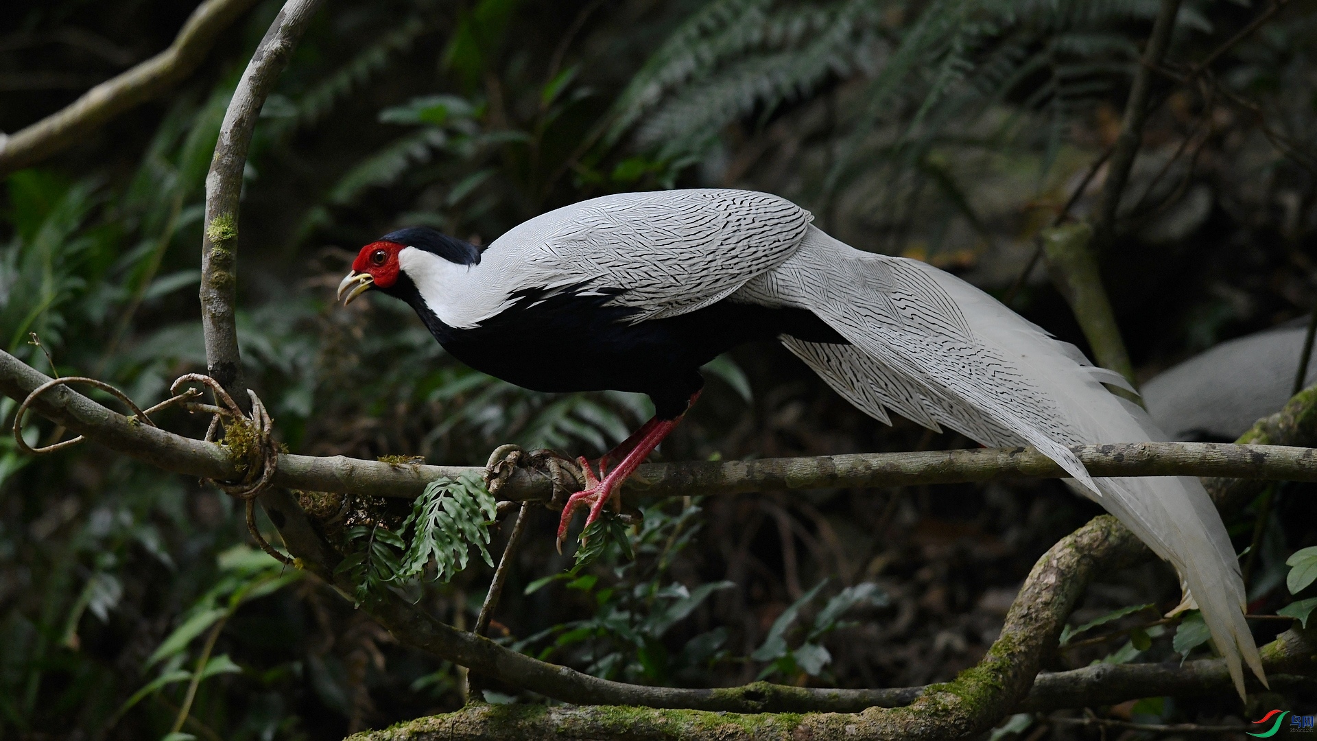 DSC_4618.jpg