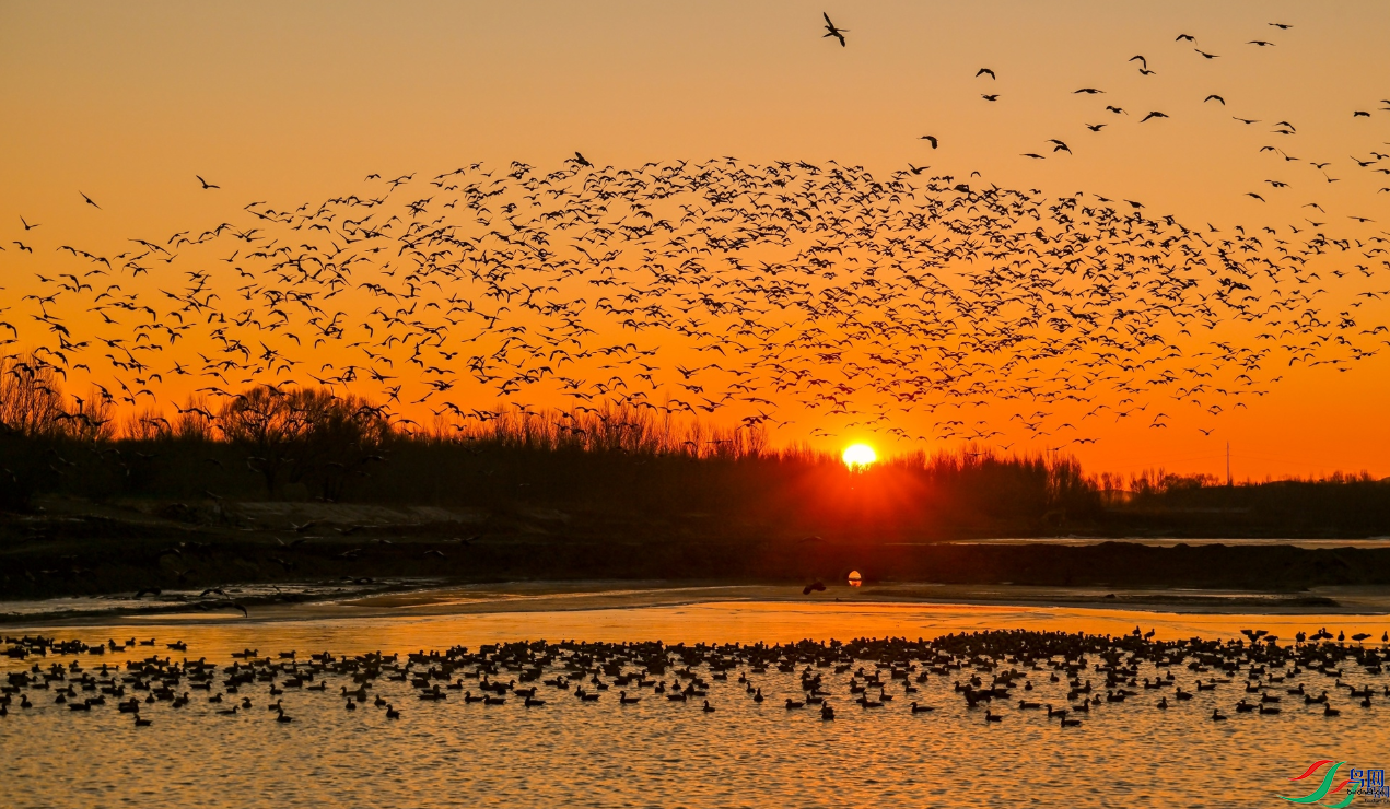 Ѽ���糱2 ��ף����ʦ��Ʒ�ٻ���Ӱʦ����������.png