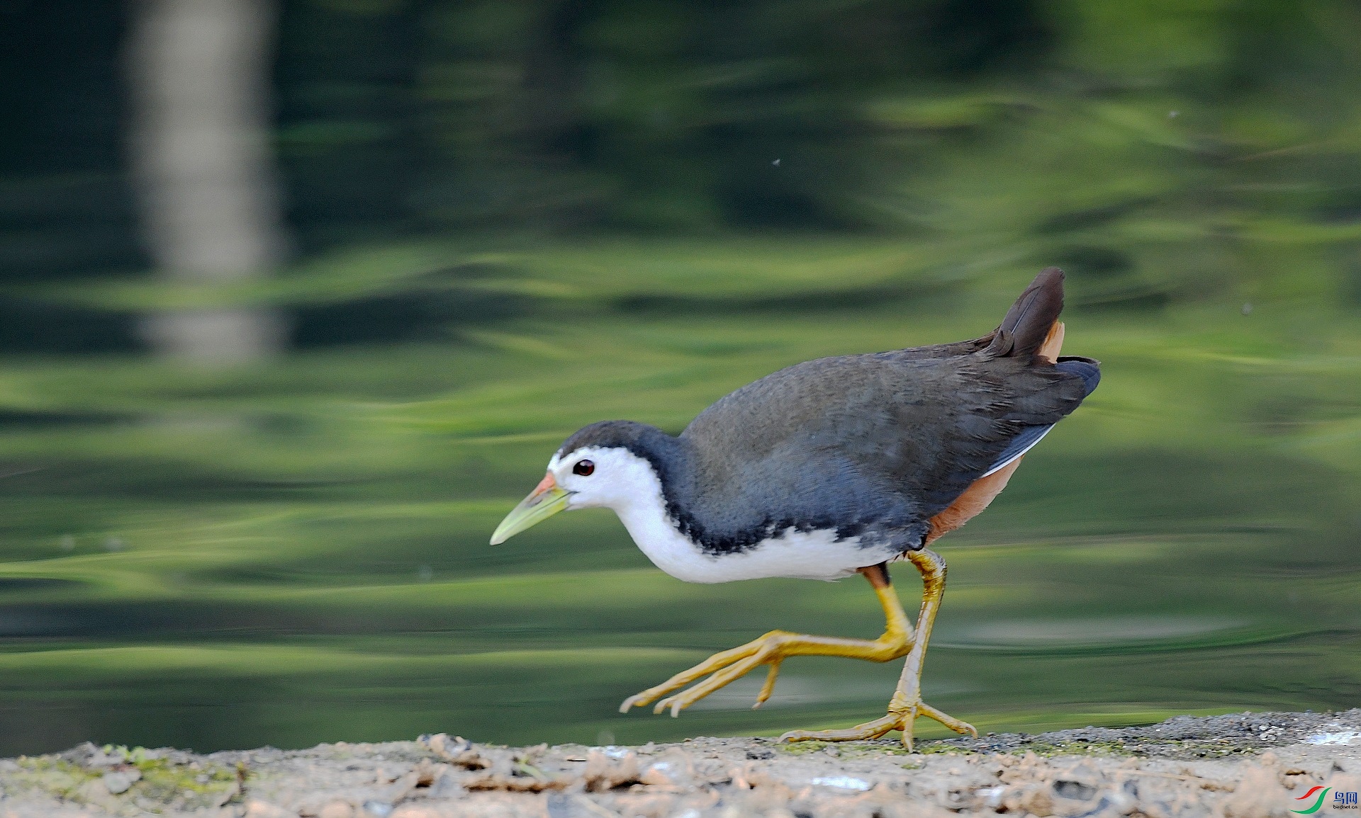 DSC_4874.jpg