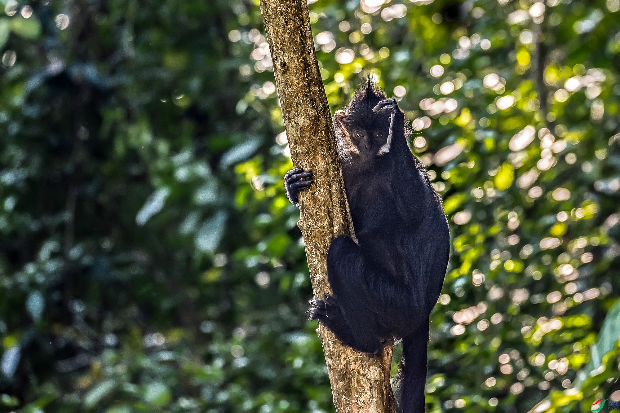 DSC_3517-1 ����.jpg