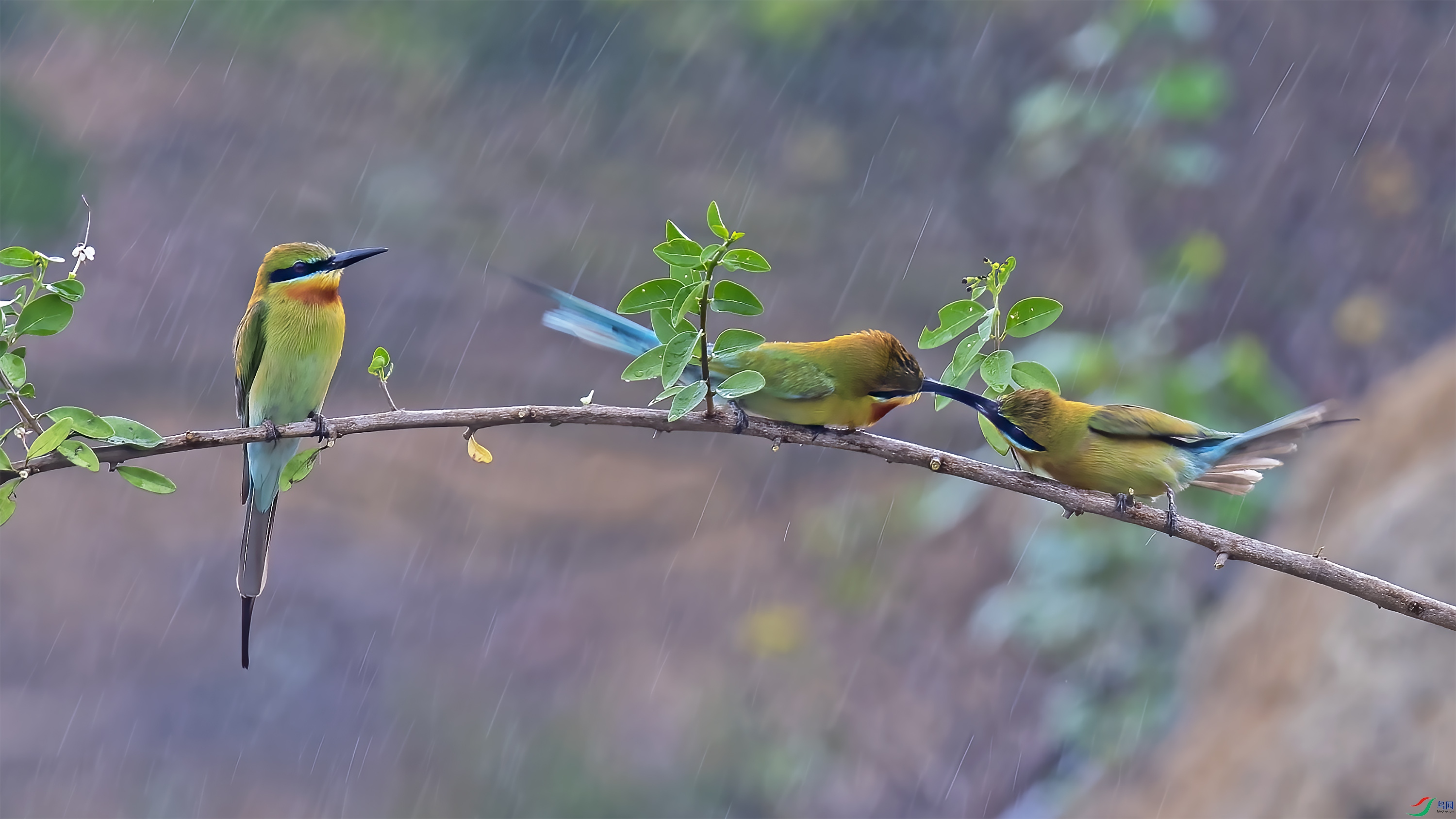 DSC_5669.jpg