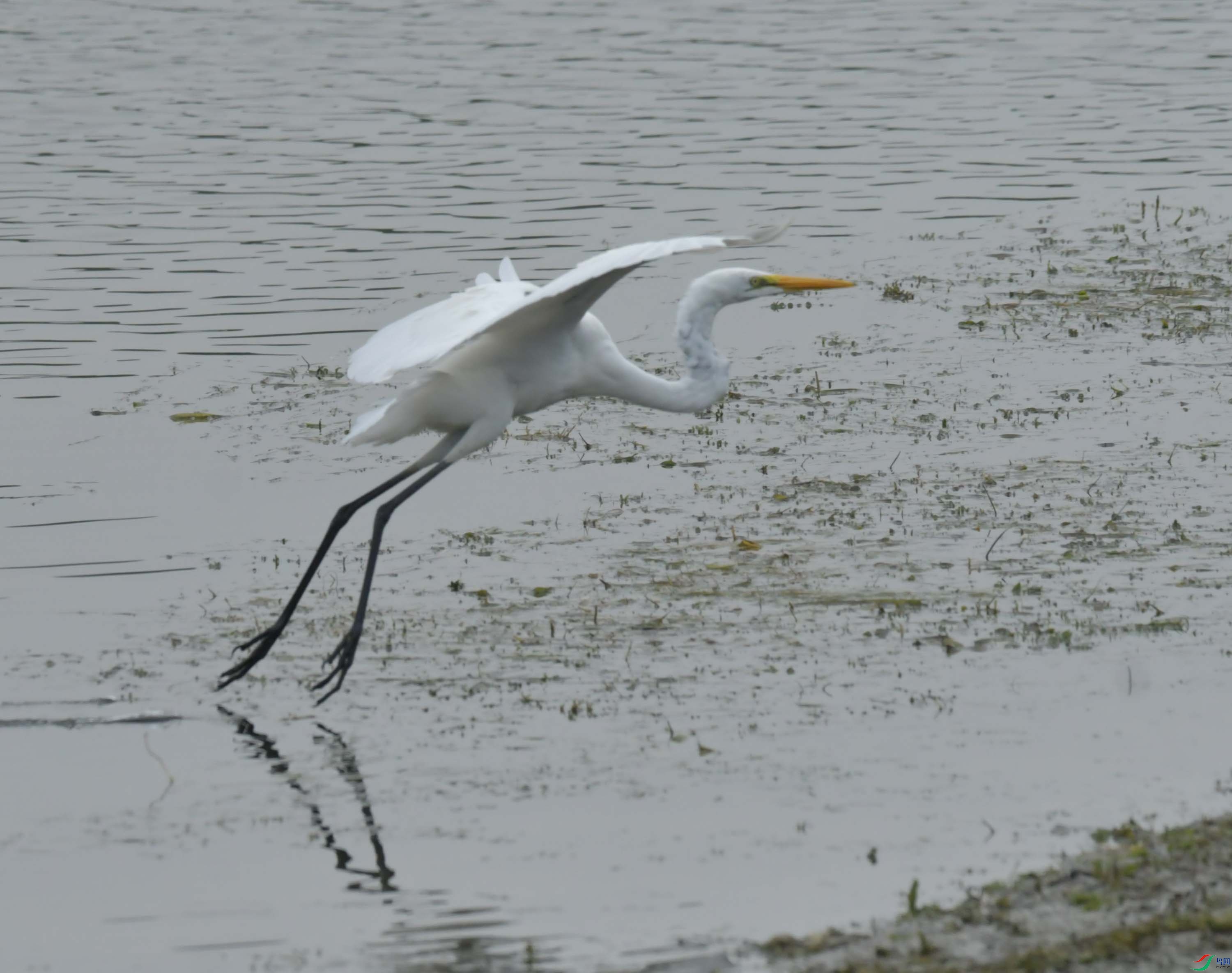 DSC_6765.JPG