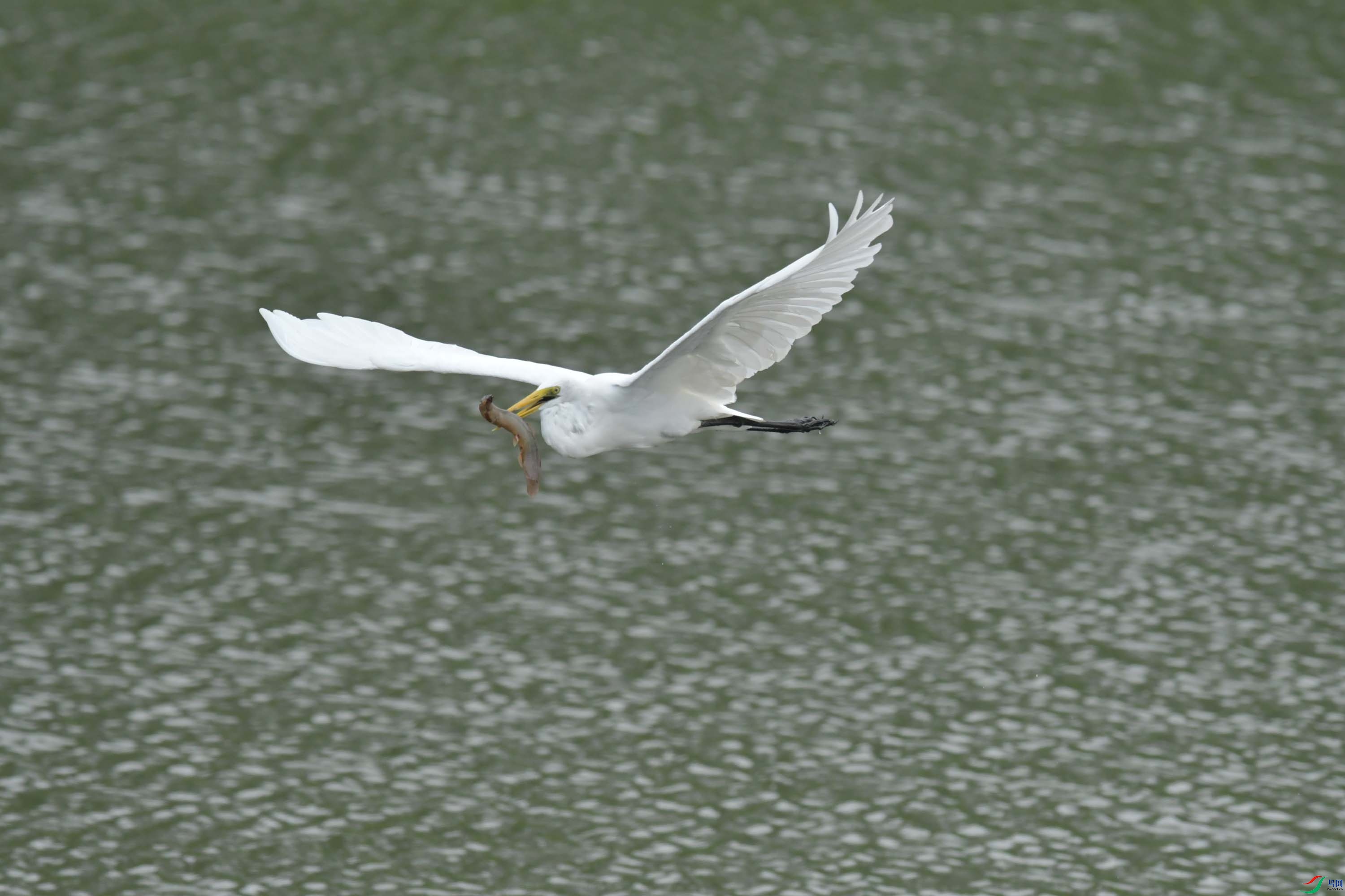 DSC_6776.JPG