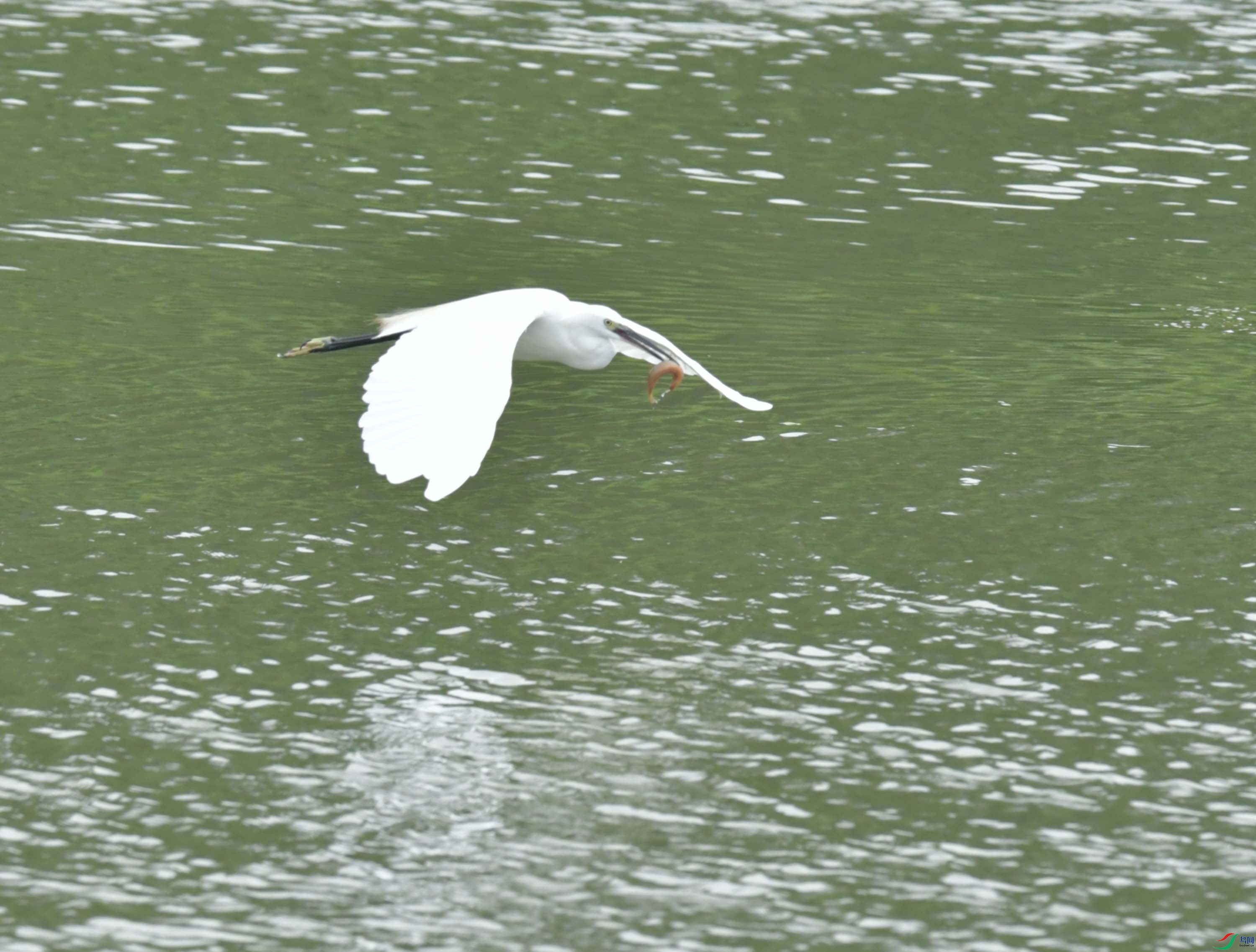 DSC_6778.JPG