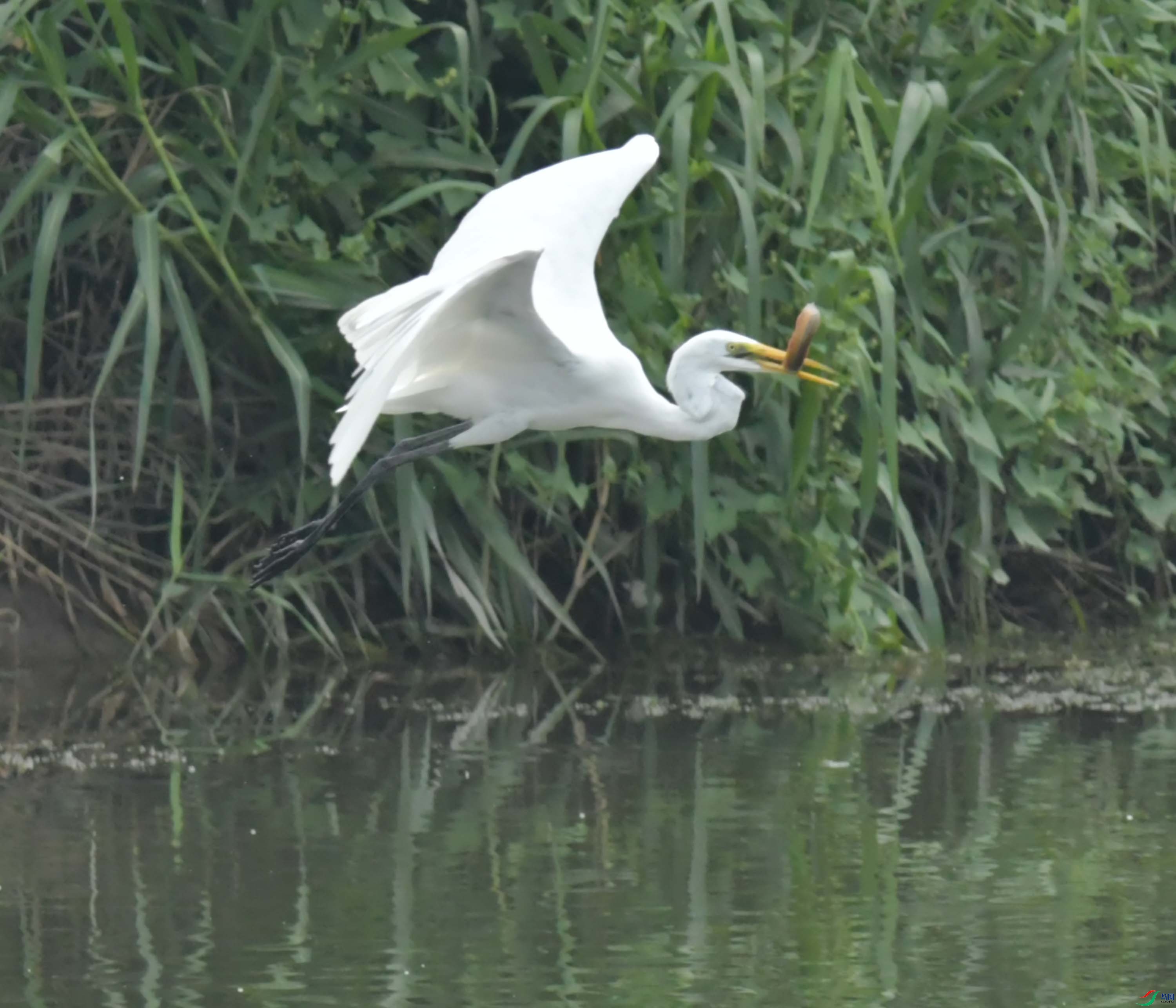 DSC_6783.JPG