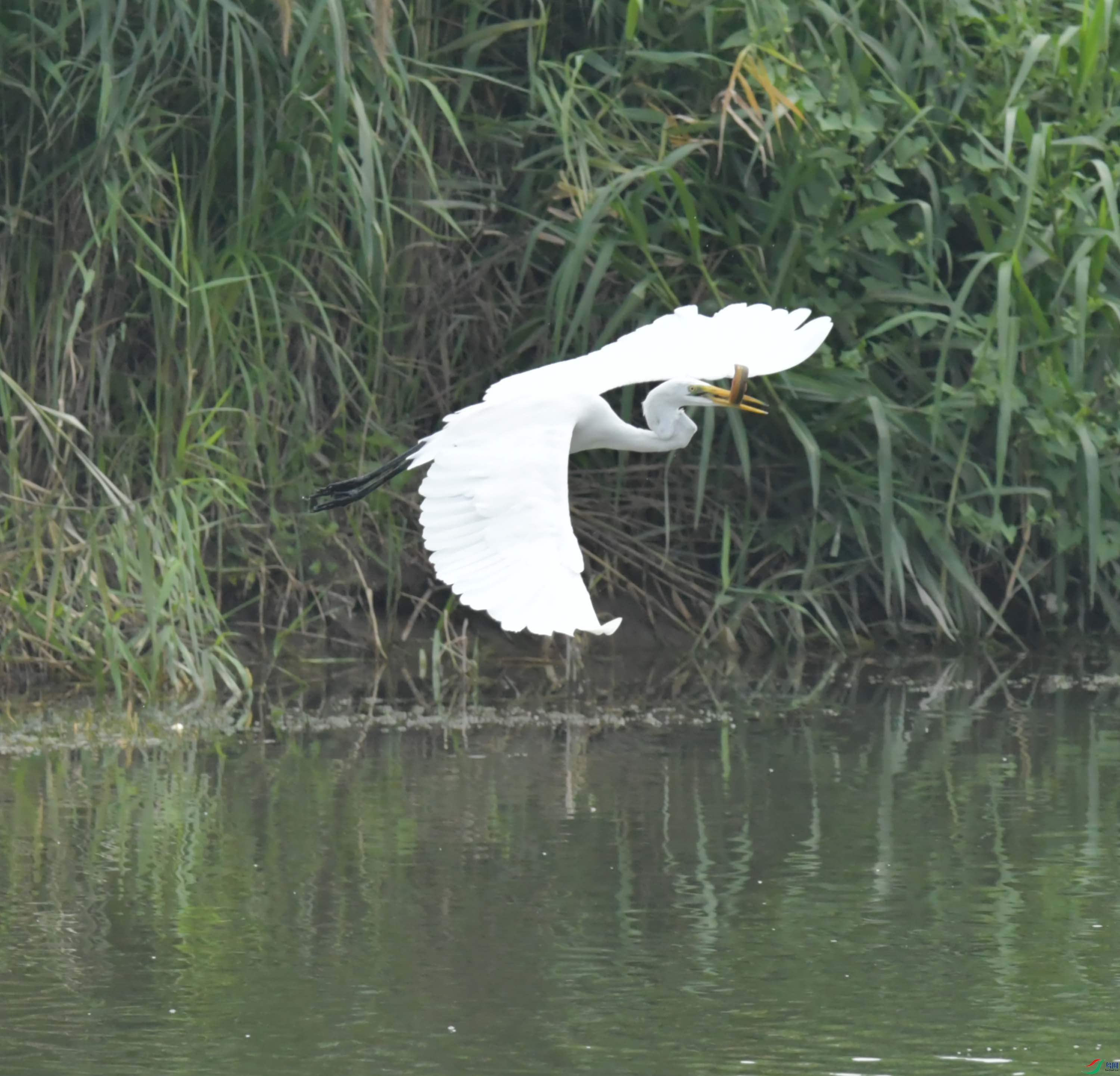 DSC_6782.JPG