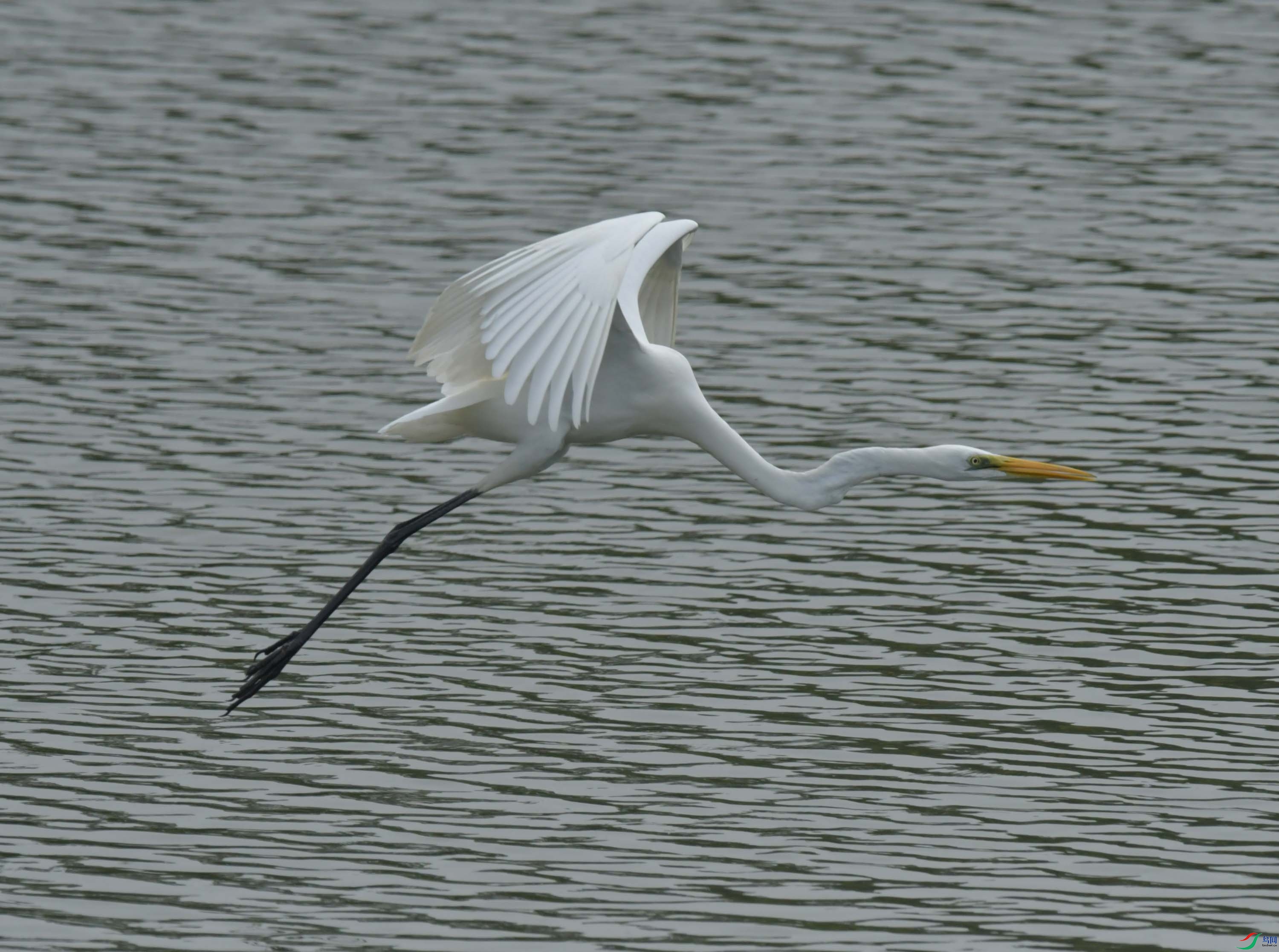 DSC_6794.JPG