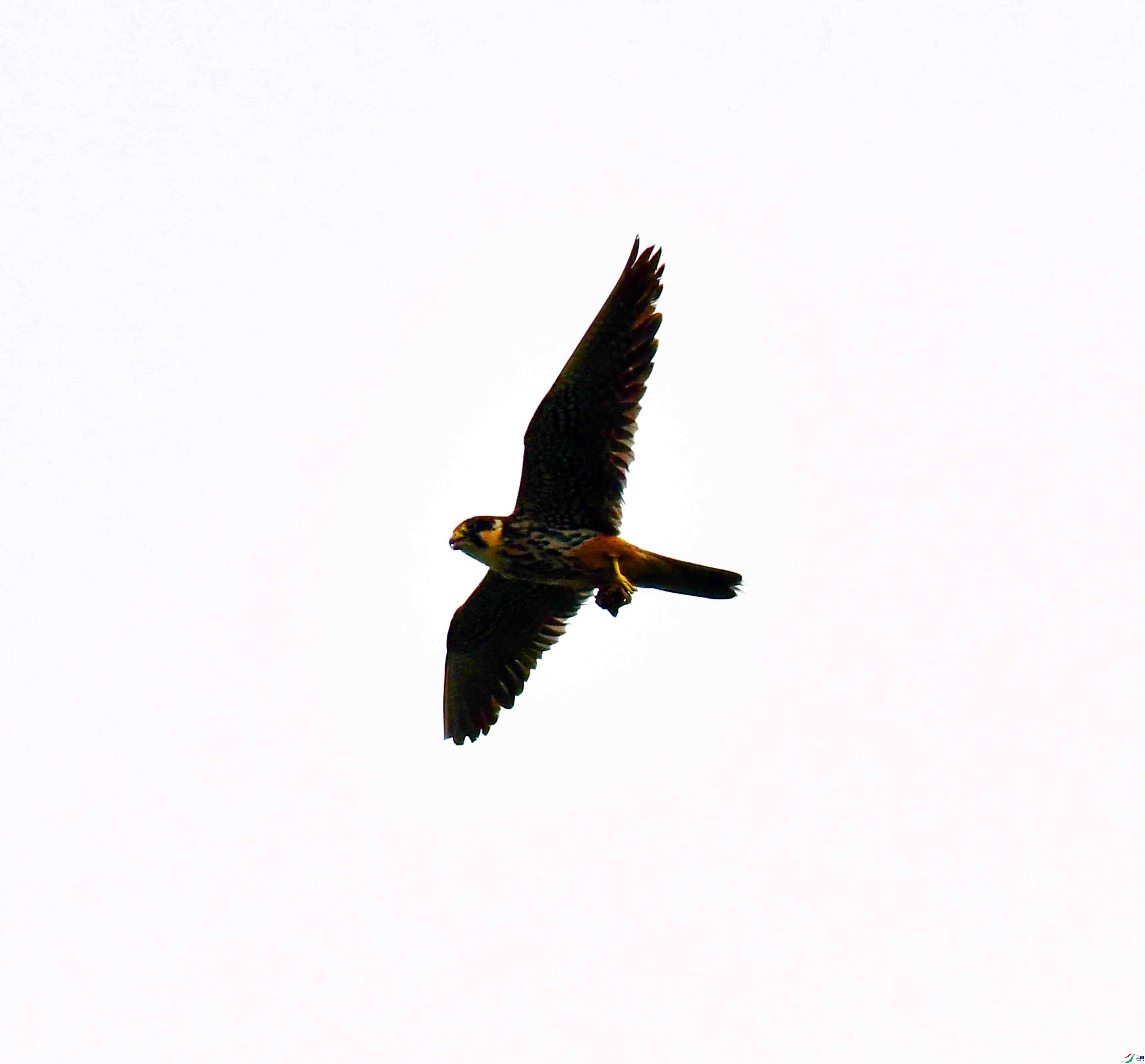 DSC_2358.JPG