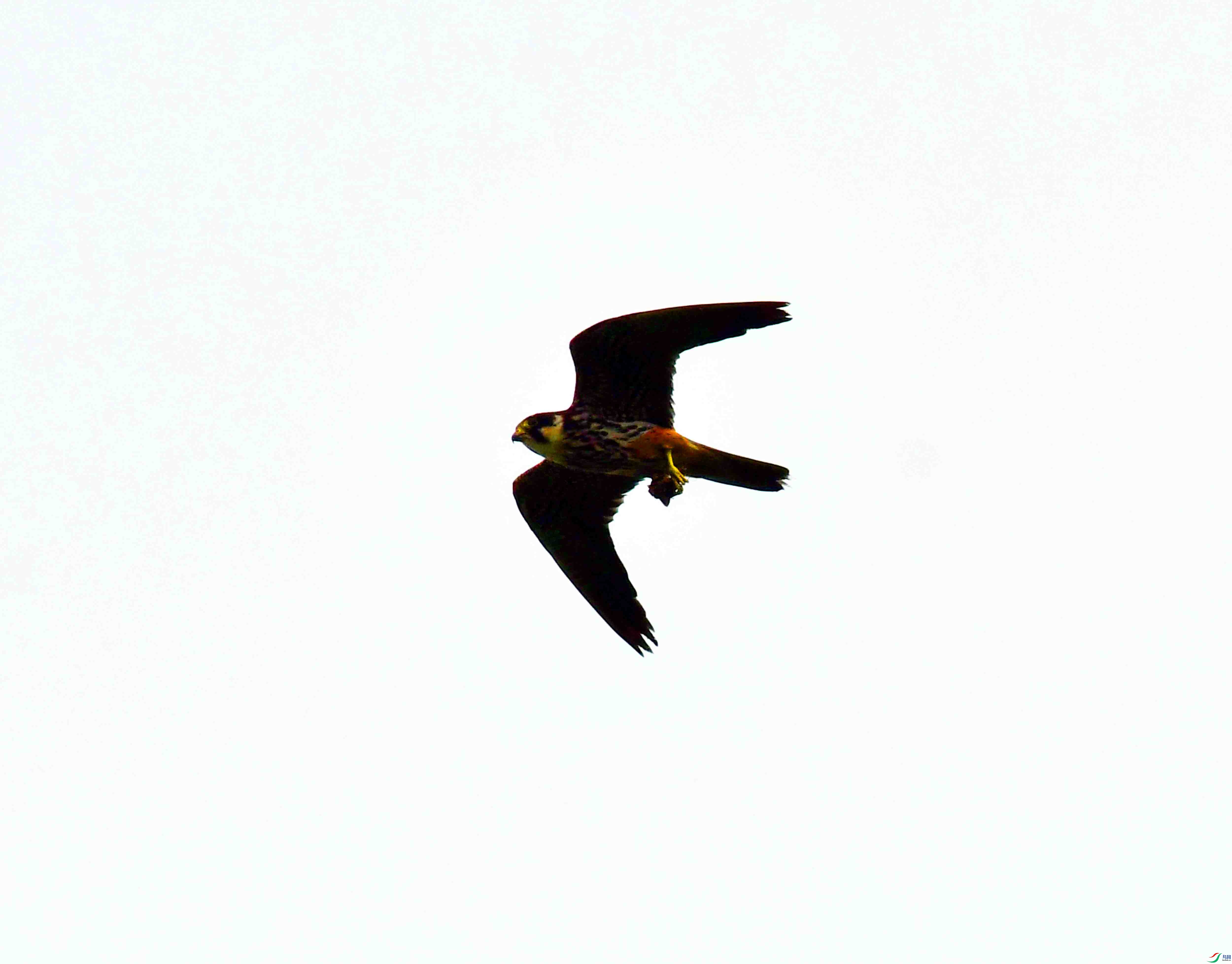 DSC_2359.JPG
