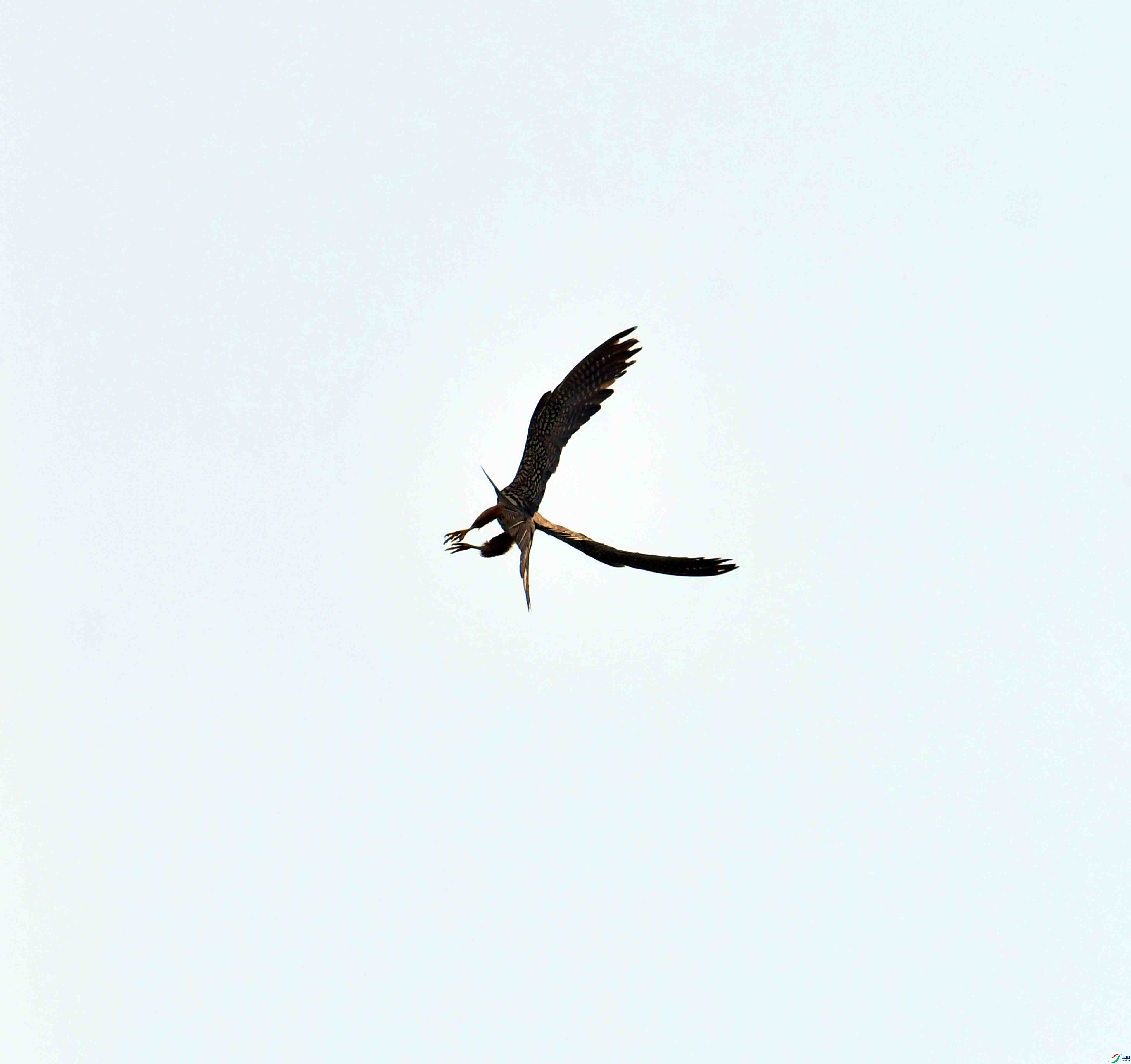 DSC_2409.JPG