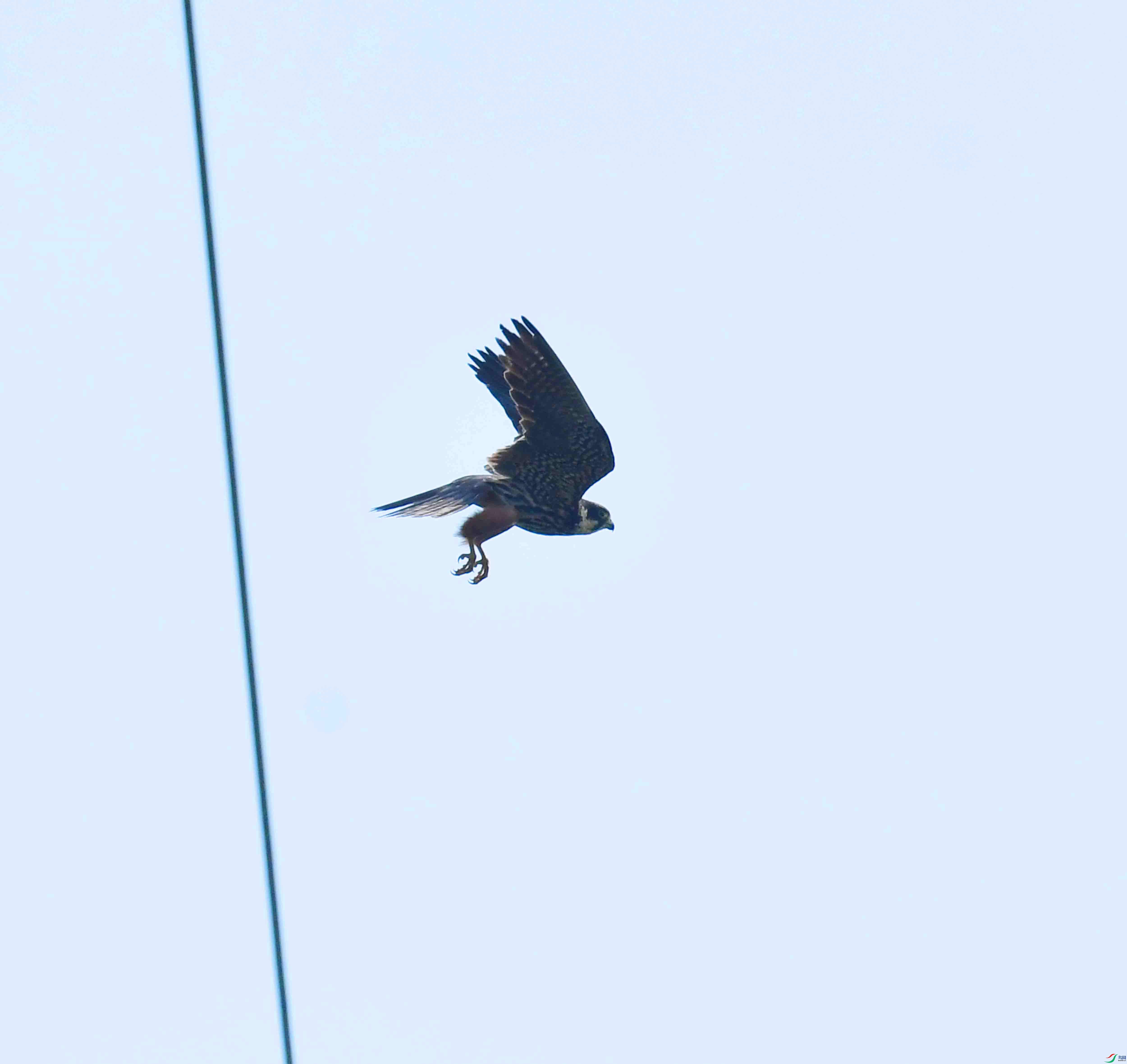 DSC_2411.JPG