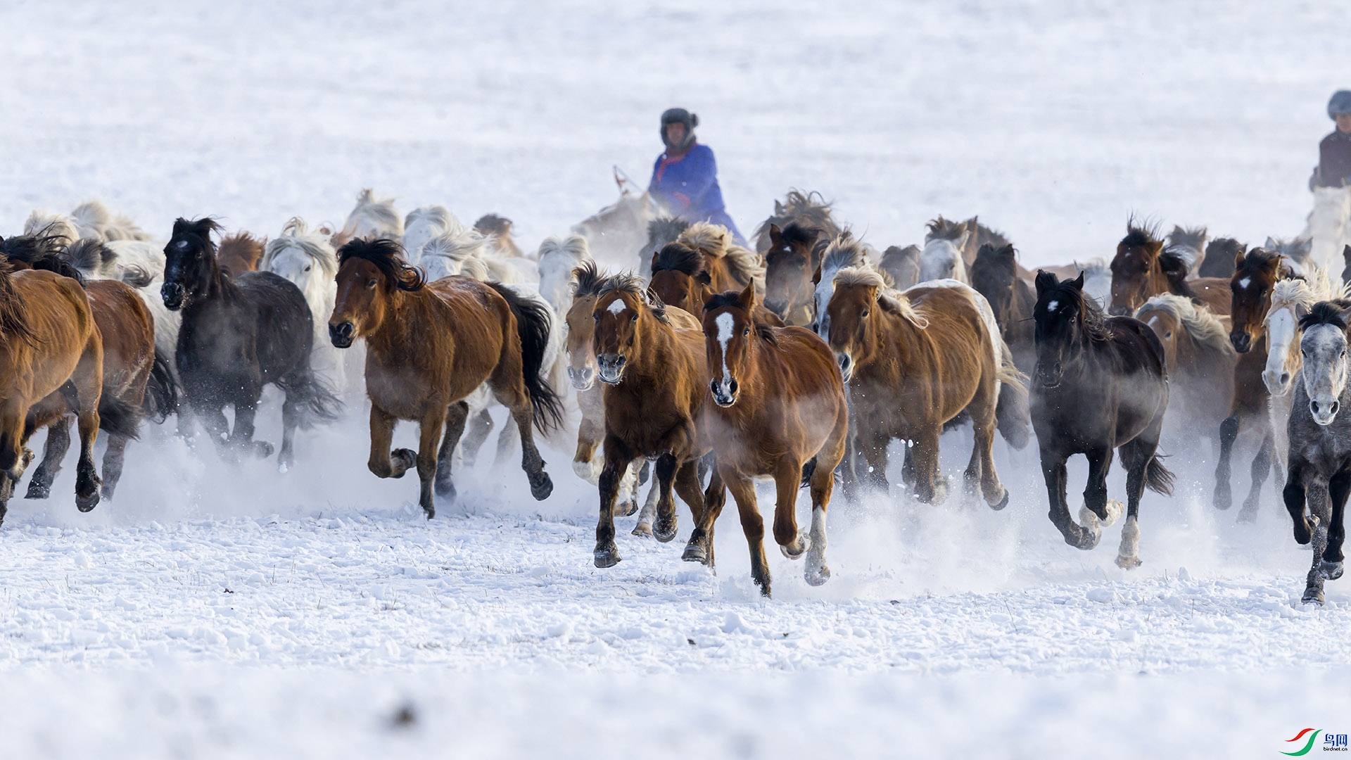 051A3573 ����2n.jpg