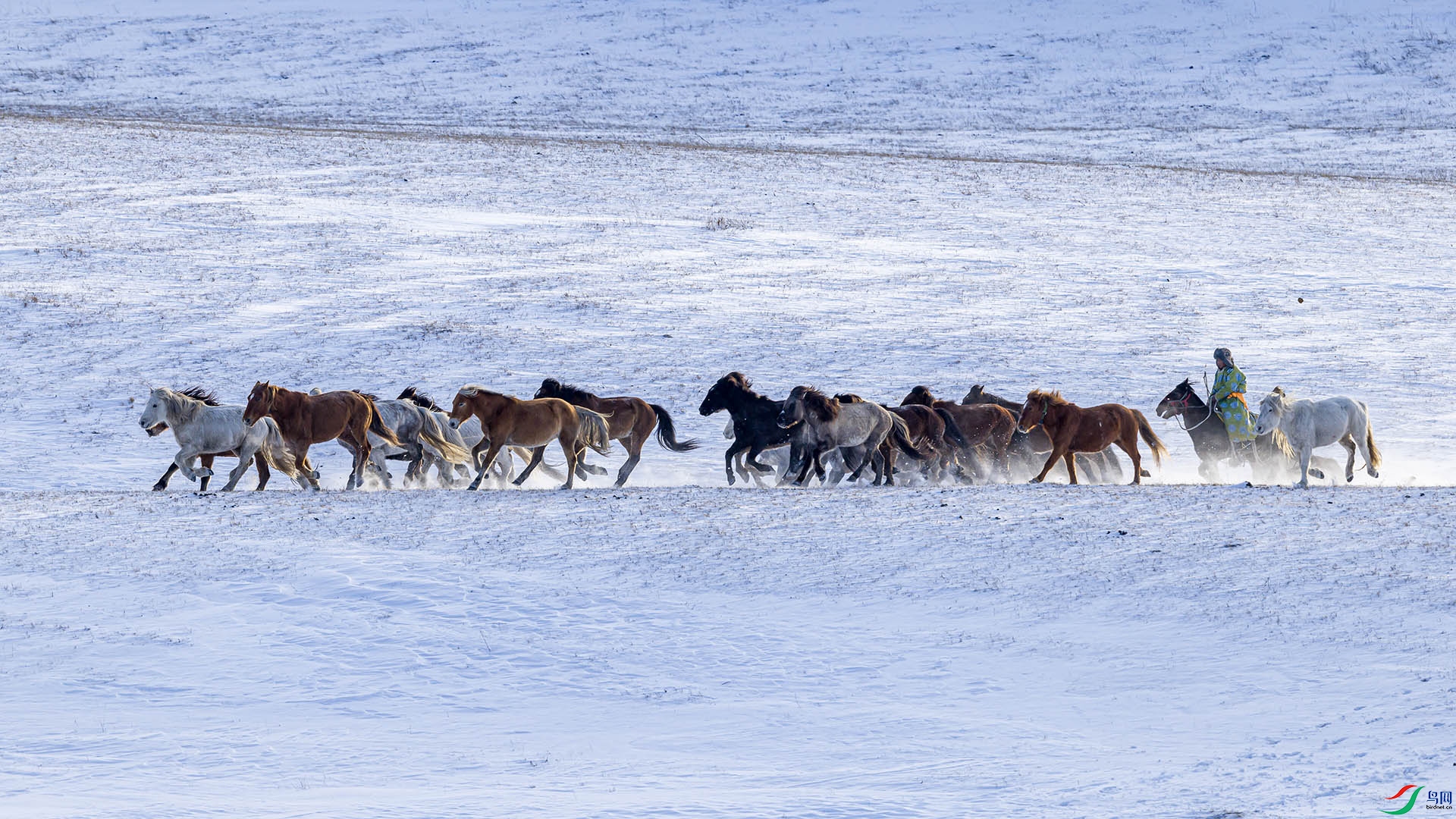 051A2883 ����2n.jpg