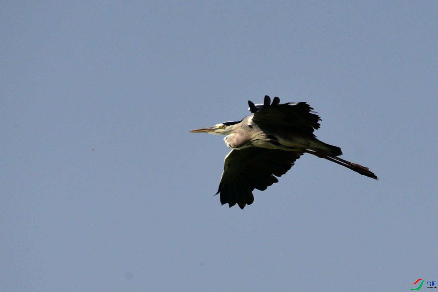 DSC_7977.JPG