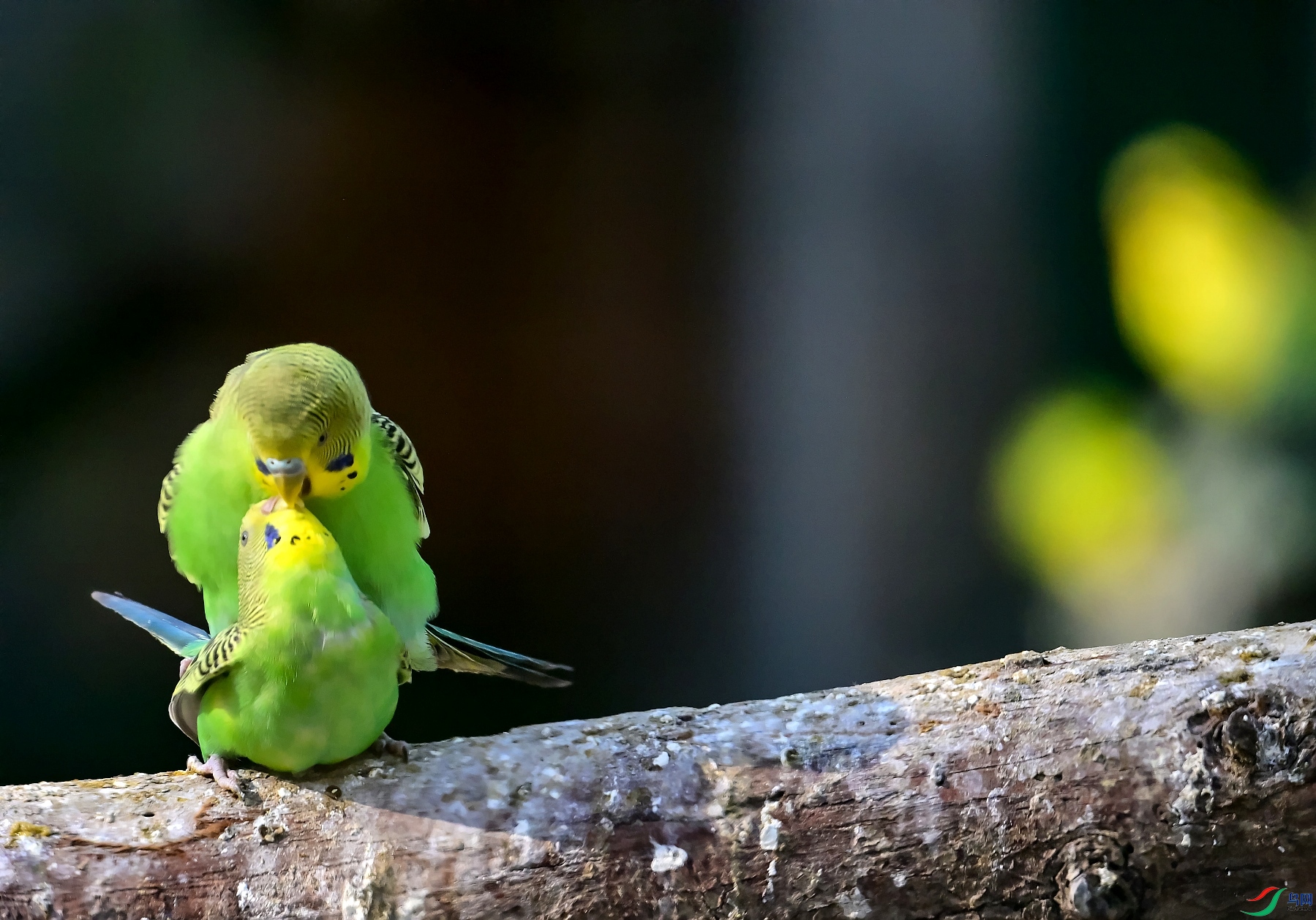 DSC_9714��Ũʮ�̣�����.jpg