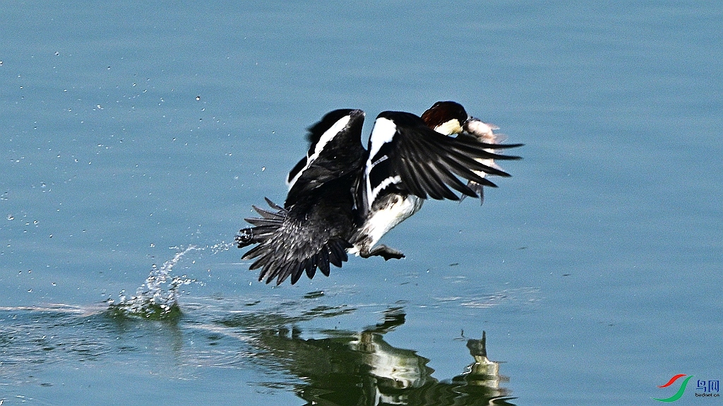 DSC_1536.JPG