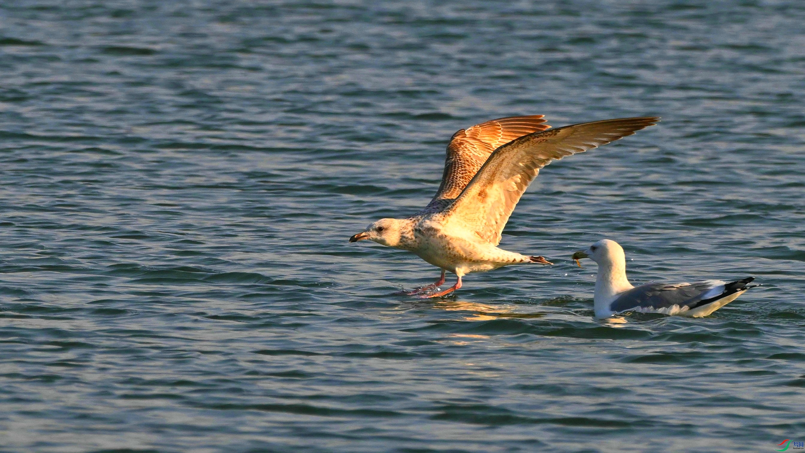 DSC_5352.JPG