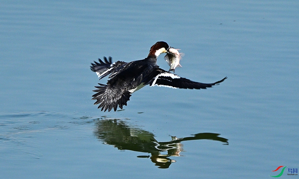 DSC_1541.JPG