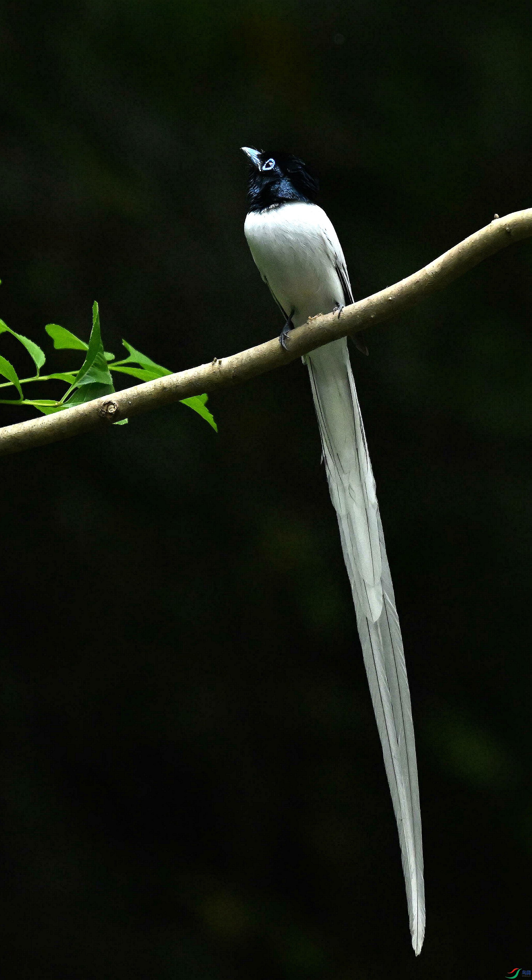 DSC_4381.jpg