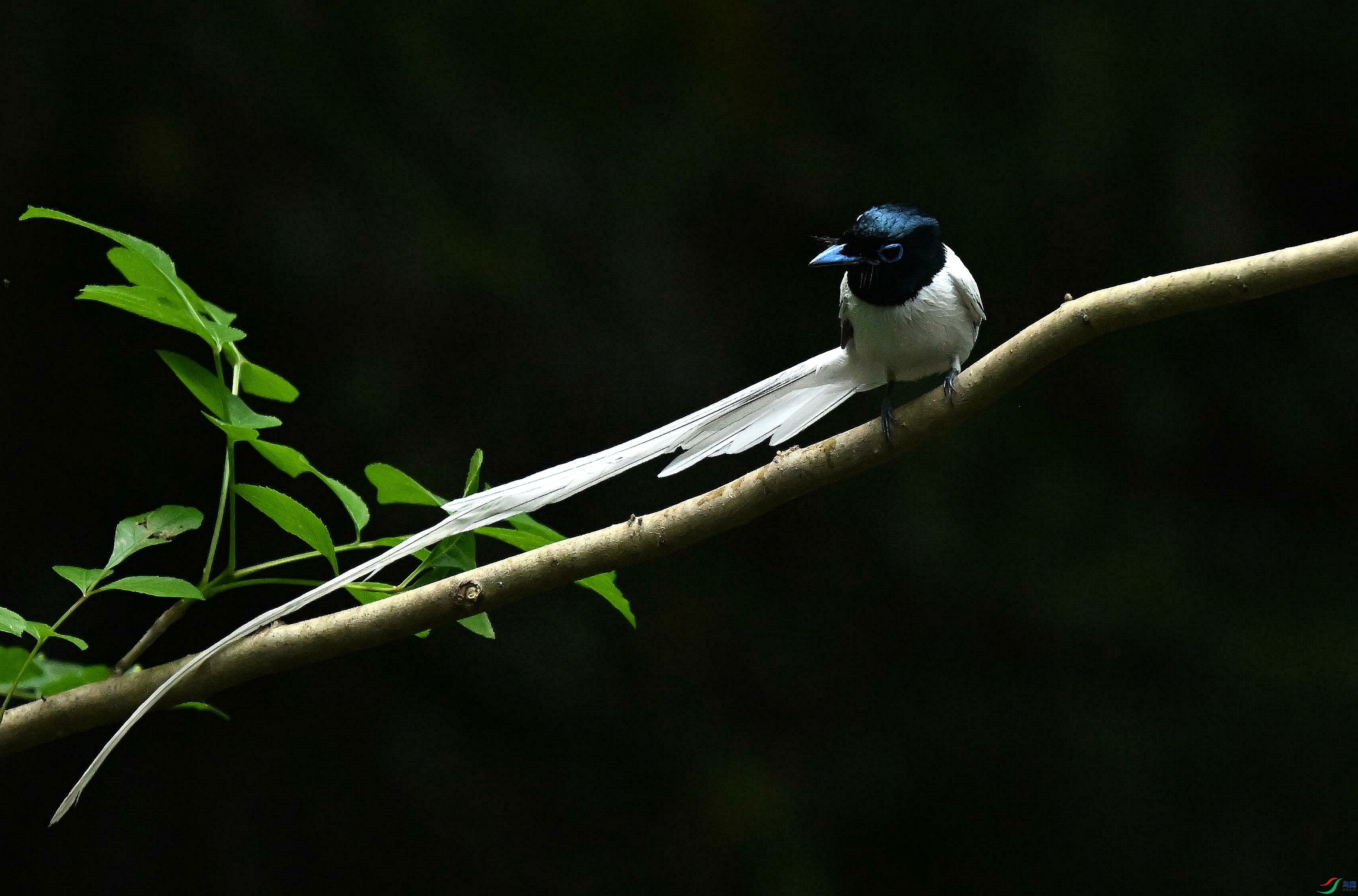 DSC_4674.jpg