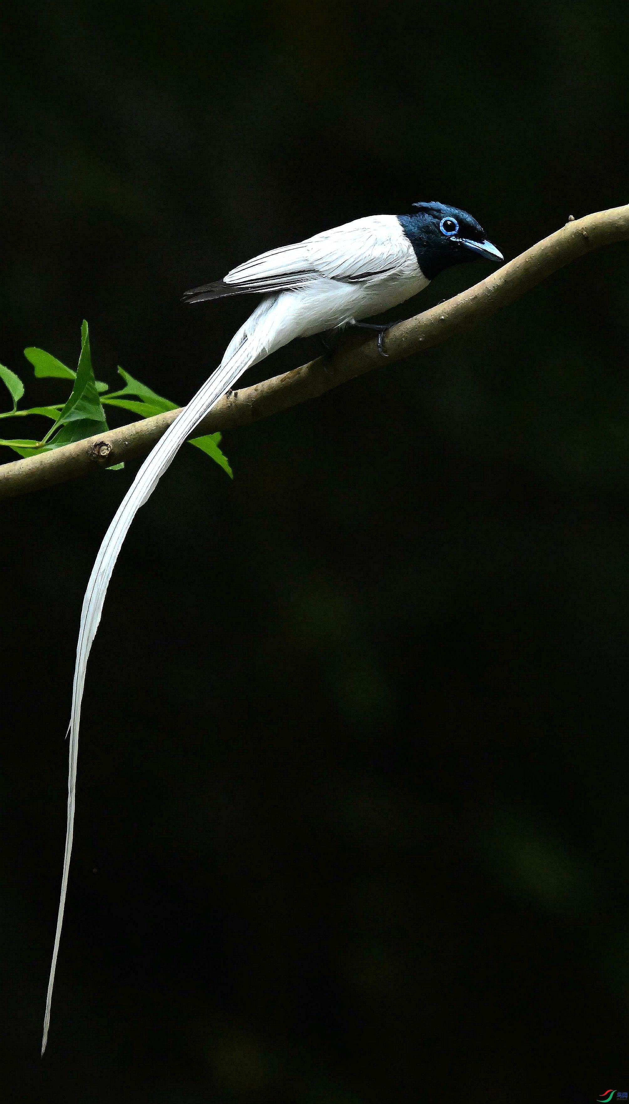 DSC_4644.jpg
