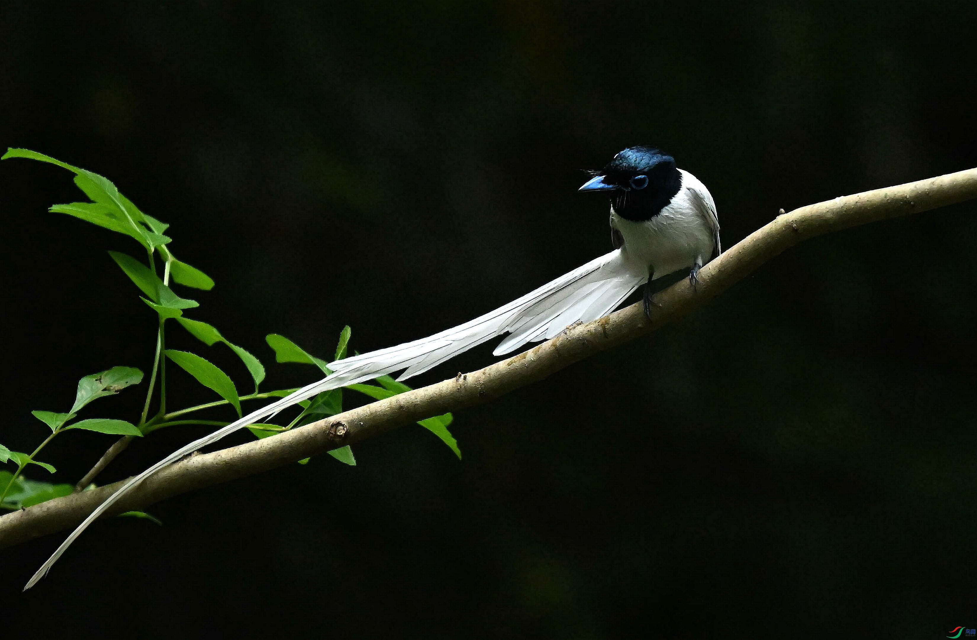 DSC_4676.jpg