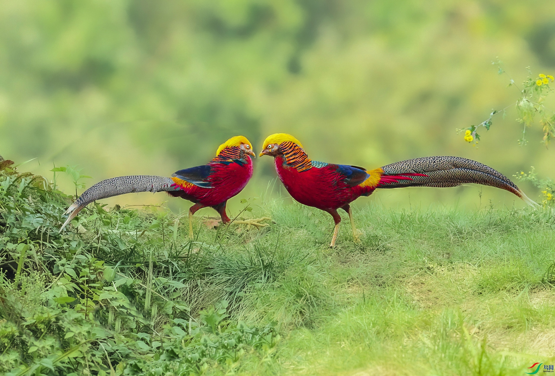 _U4I2713 ���� 4.jpg