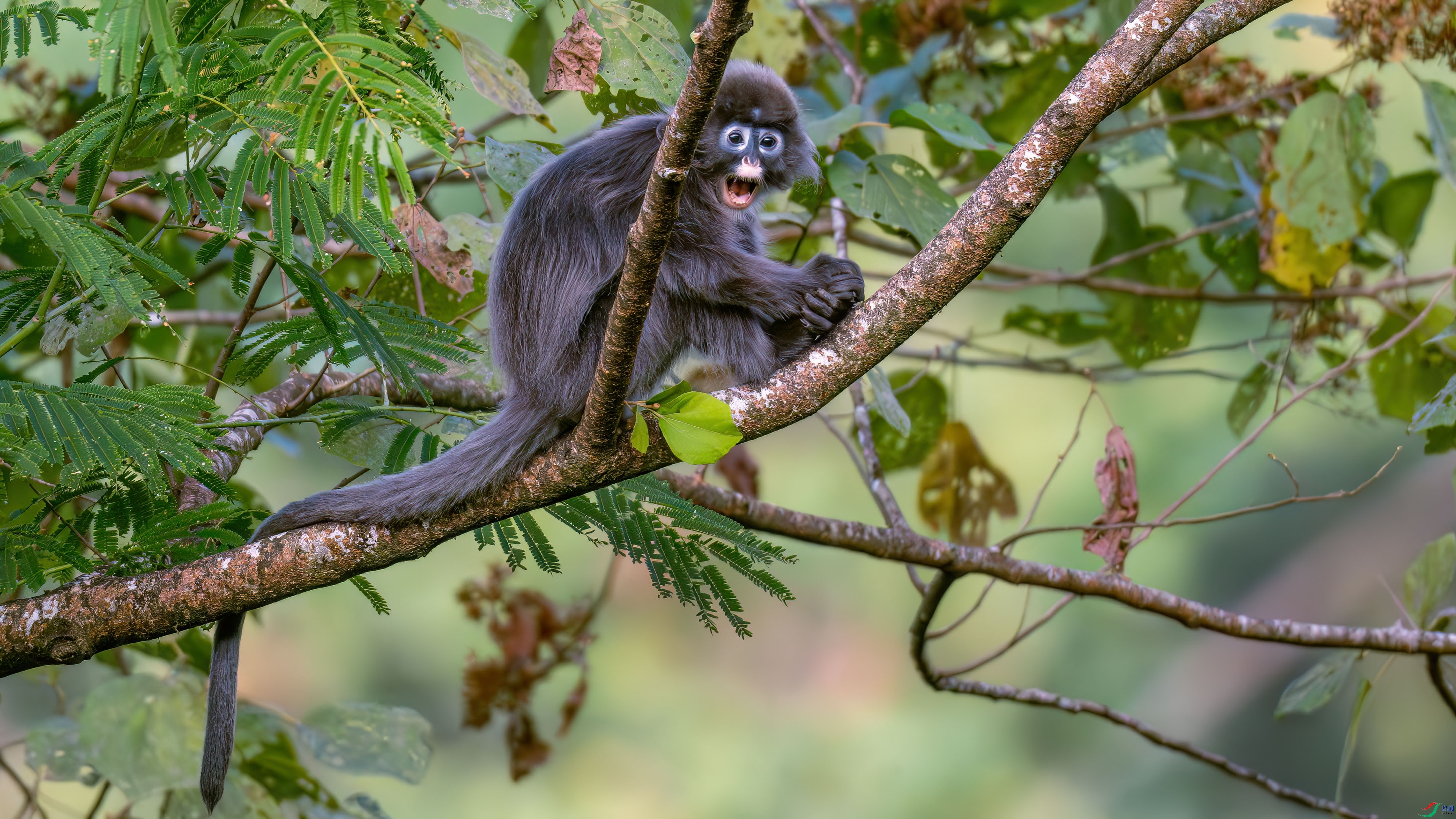 DSC_0641.jpg